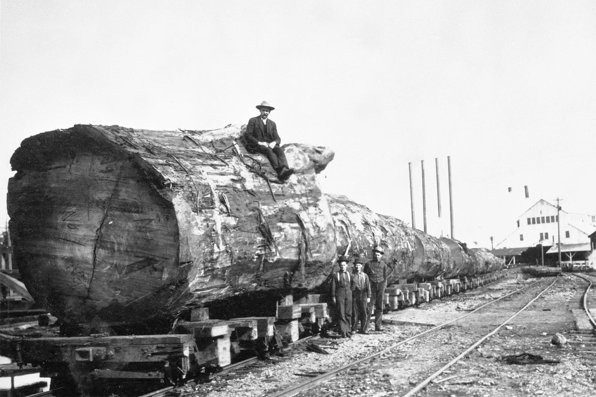 Local History — Timber Heritage Association