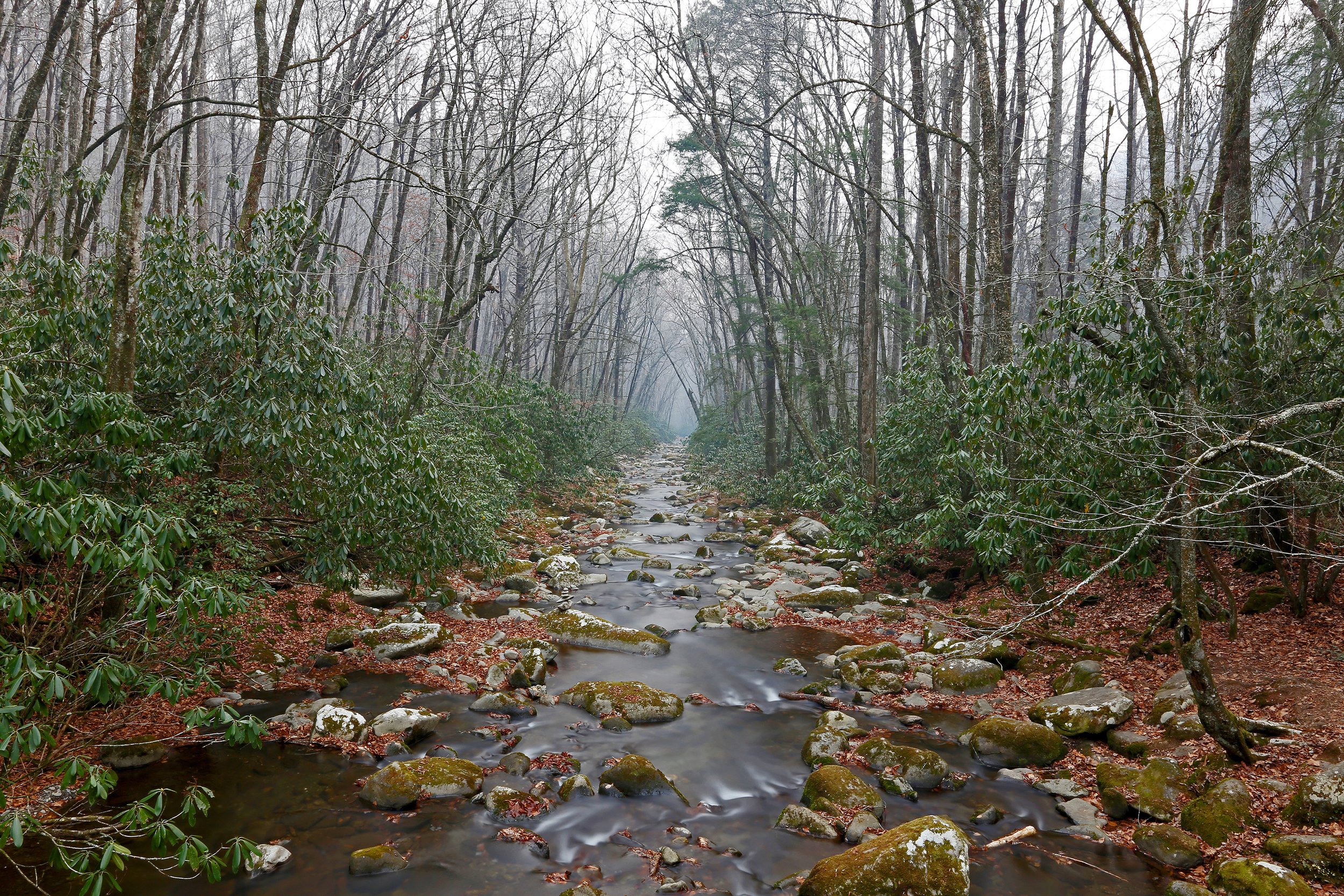 Great Smoky Mountains National Park