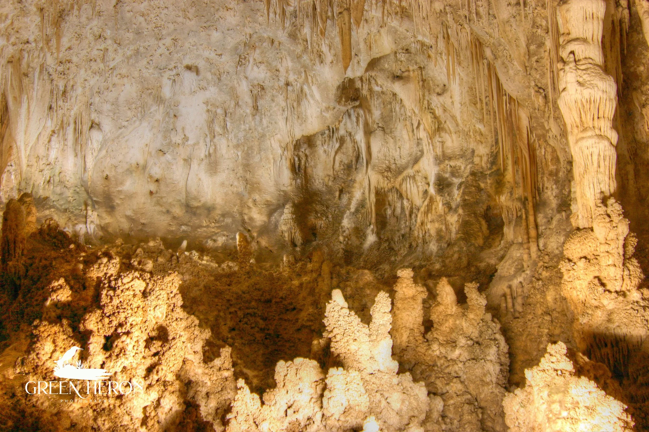IMG_4450.jpg
