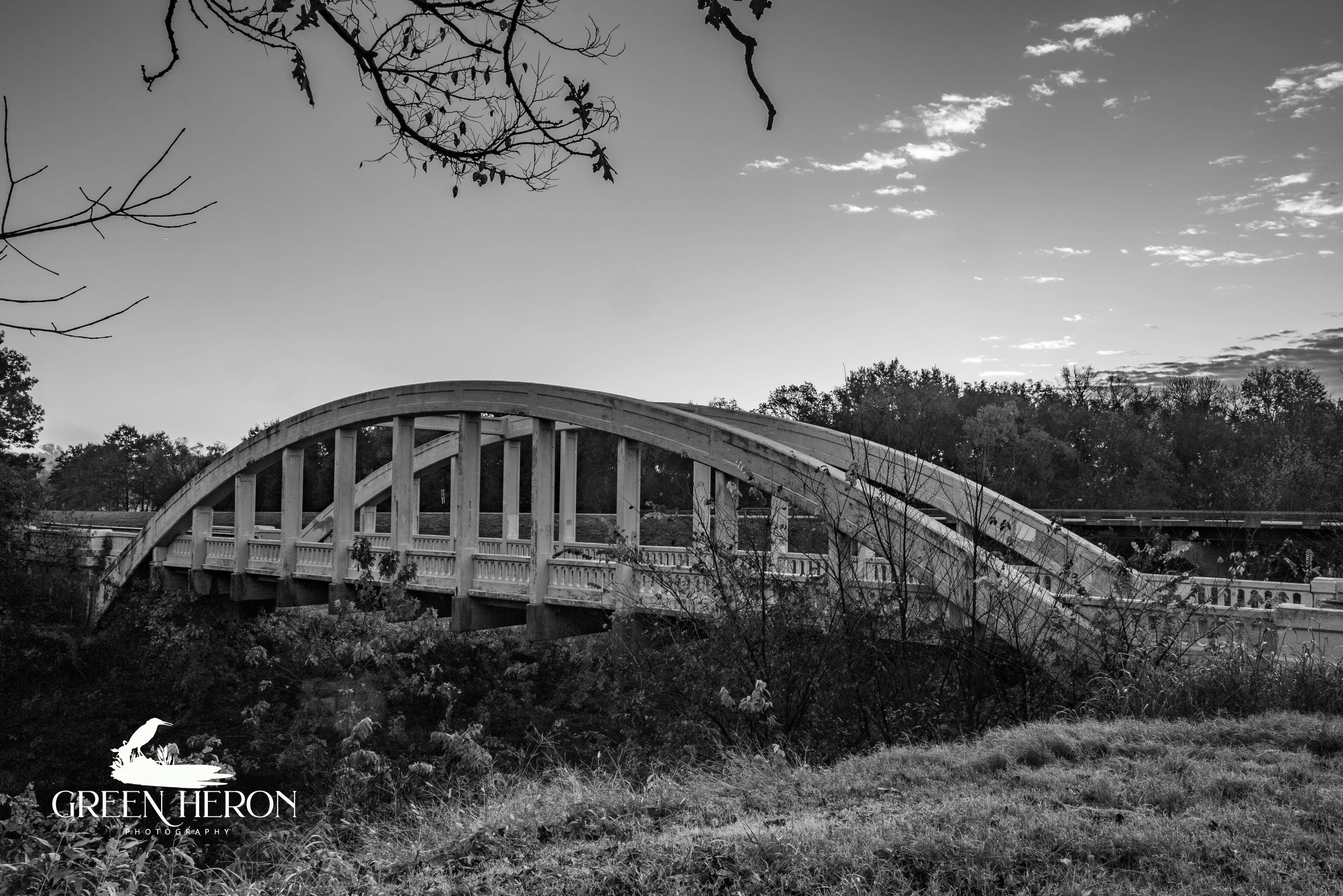 IMG_7488-bw.jpg