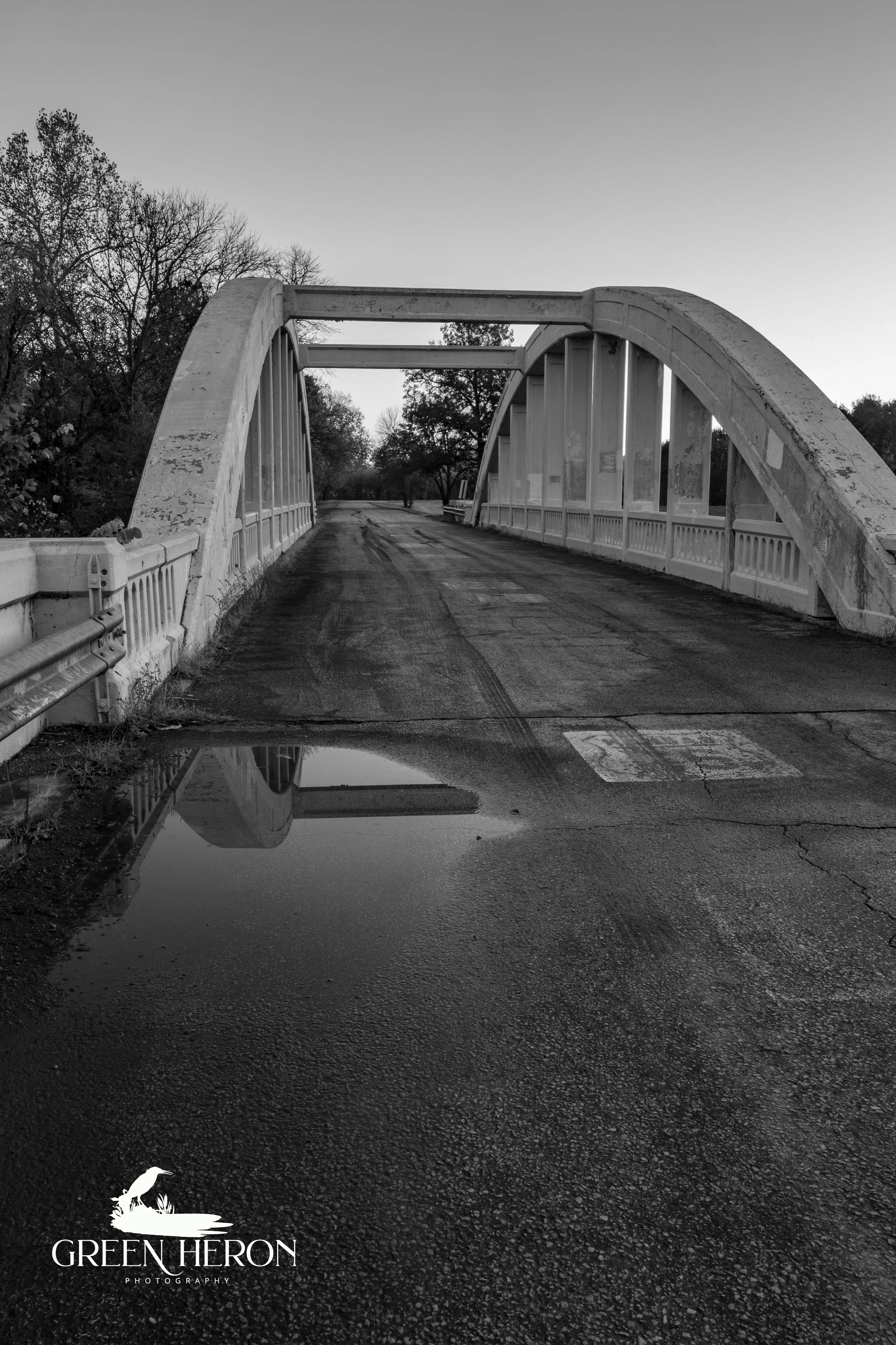 IMG_7498-7501-bw.jpg