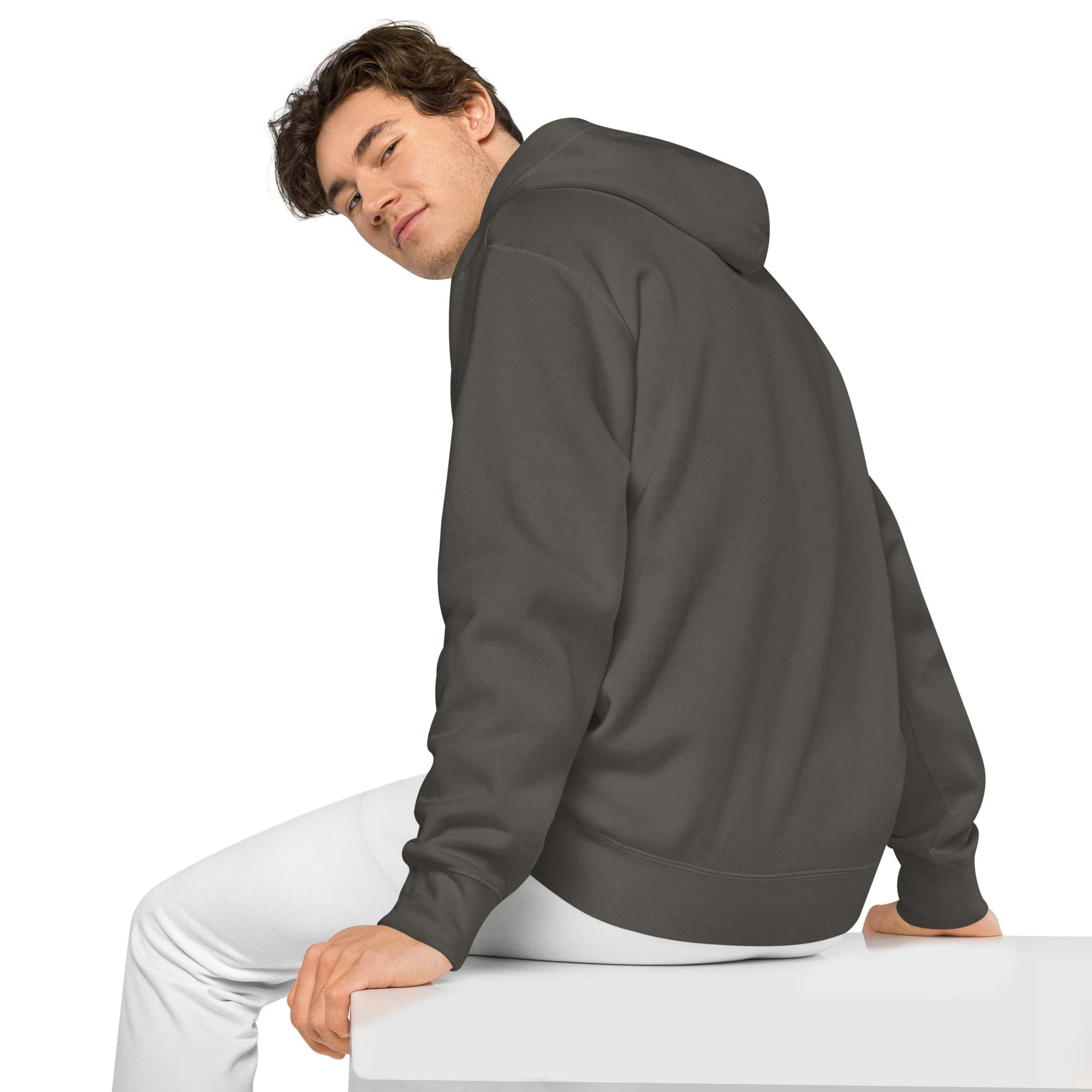 unisex-pigment-dyed-hoodie-pigment-black-left-back-688a8efd18d5c.jpg