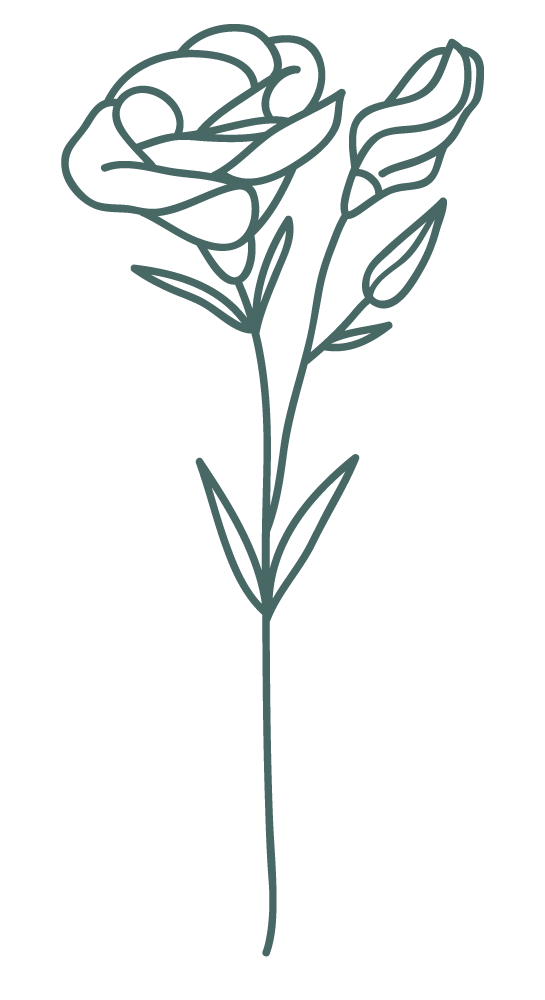 flower-3.png