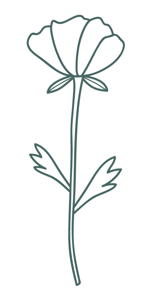 flower-4.png