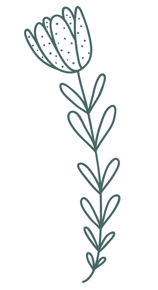 flower-2.png