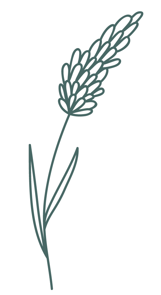 flower-1.png