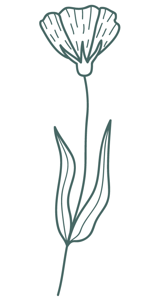 flower-5.png