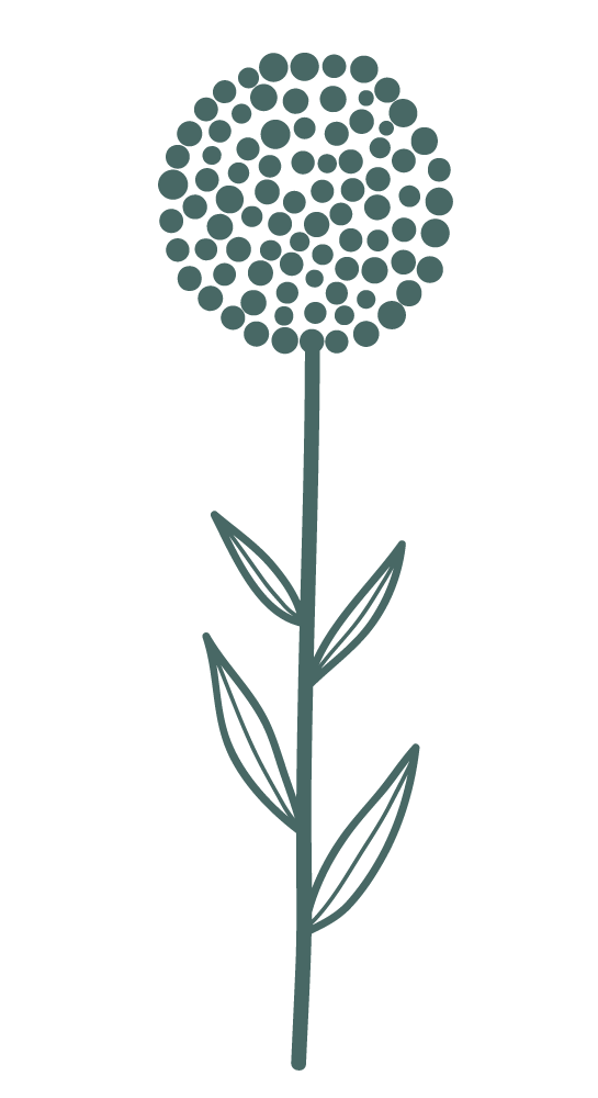 flower-6.png