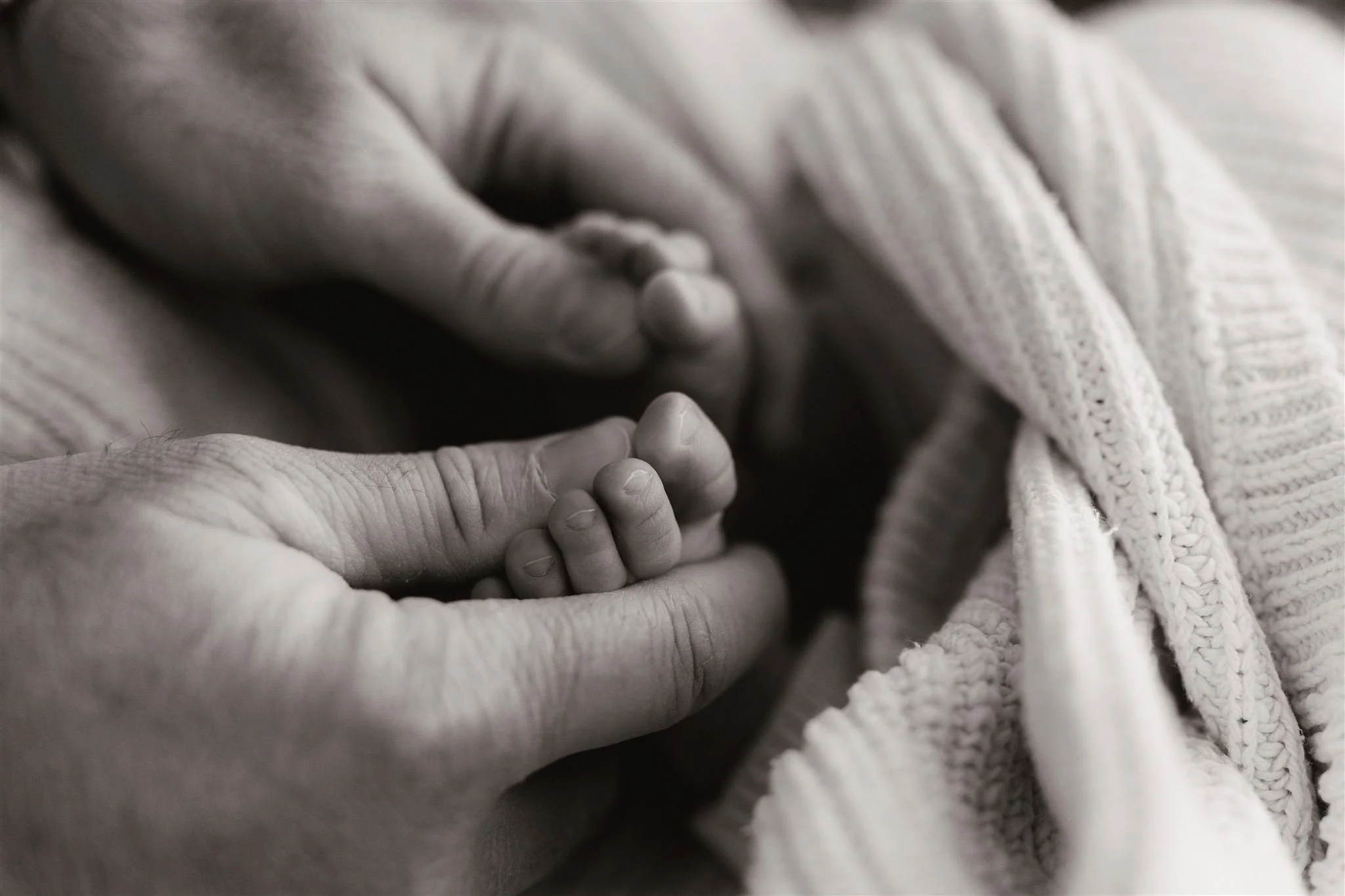 Michael Newborn-65_websize.jpg