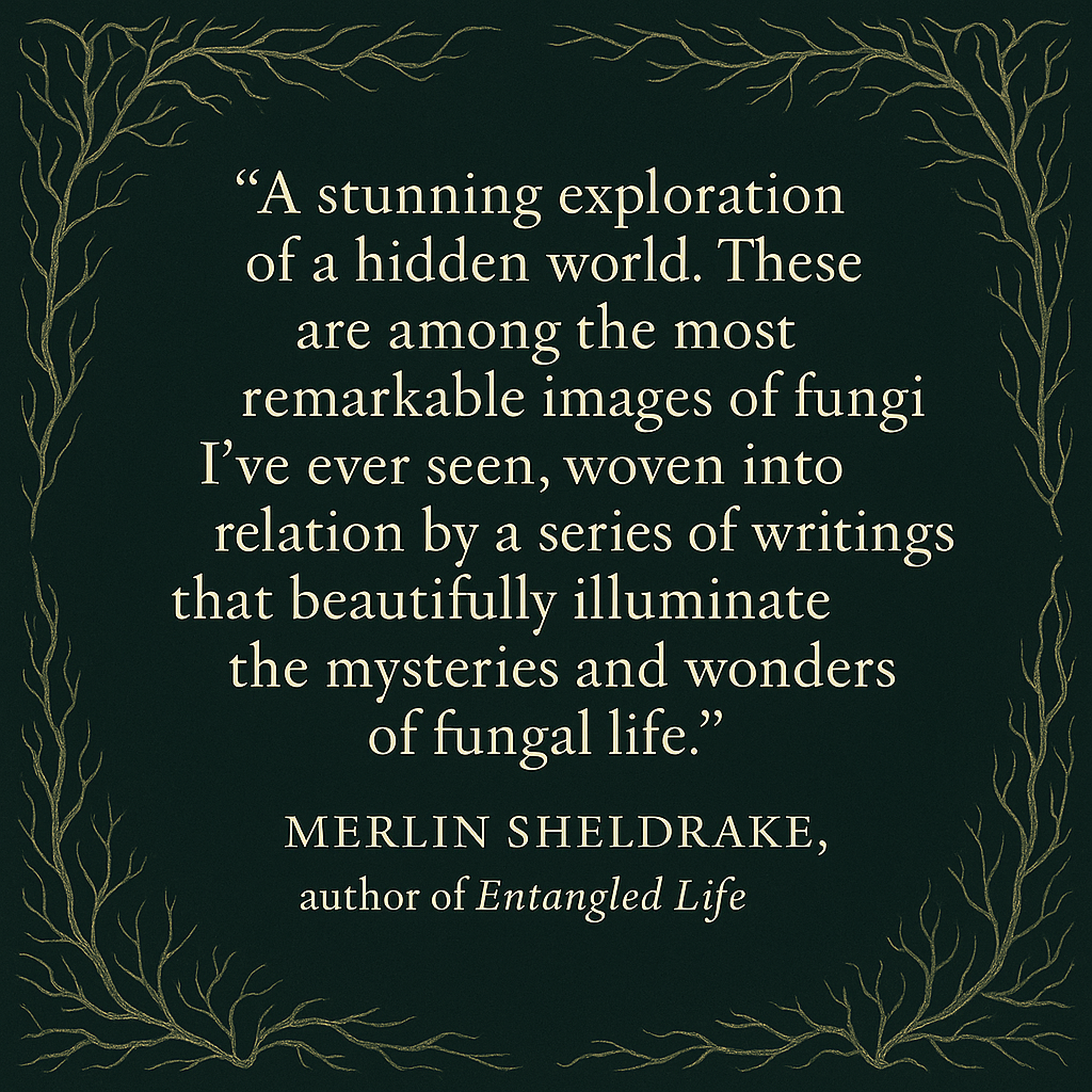 Exploring the Wonders of Fungi.png