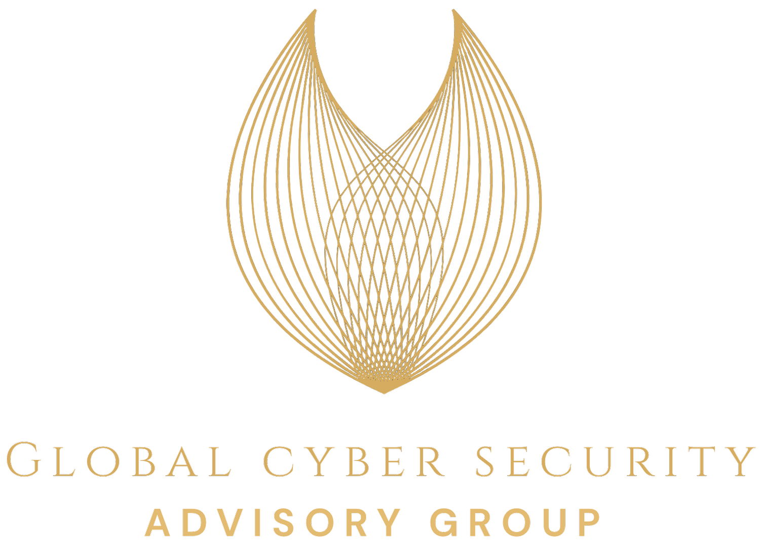 Global Cyber Security Advisory Group