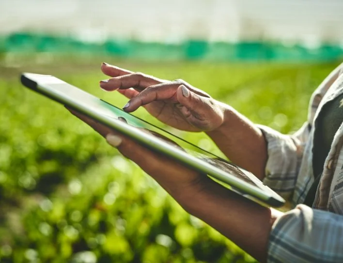 Person using a tablet outdoors in a green field.