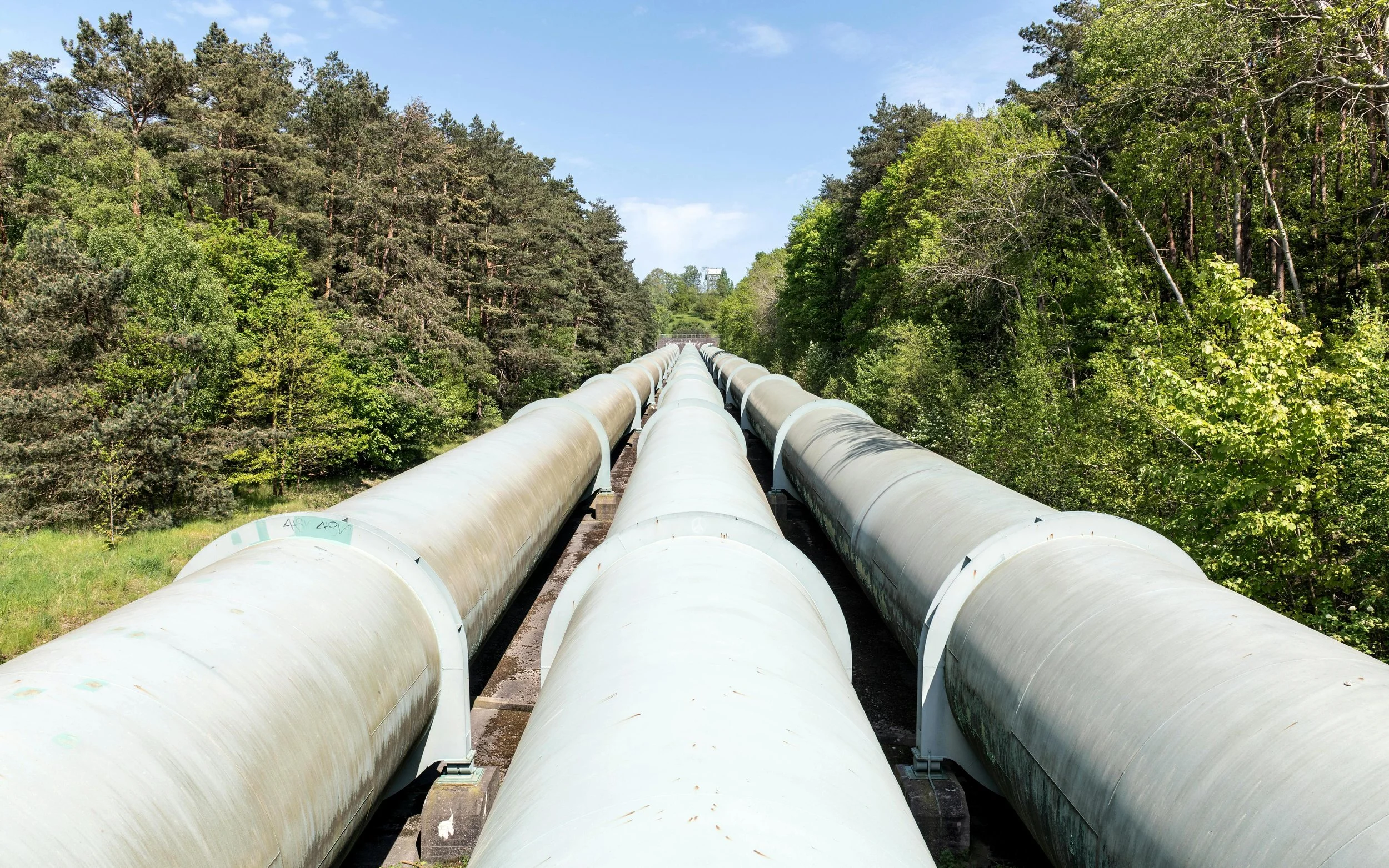 Large industrial pipes running through a forested area.