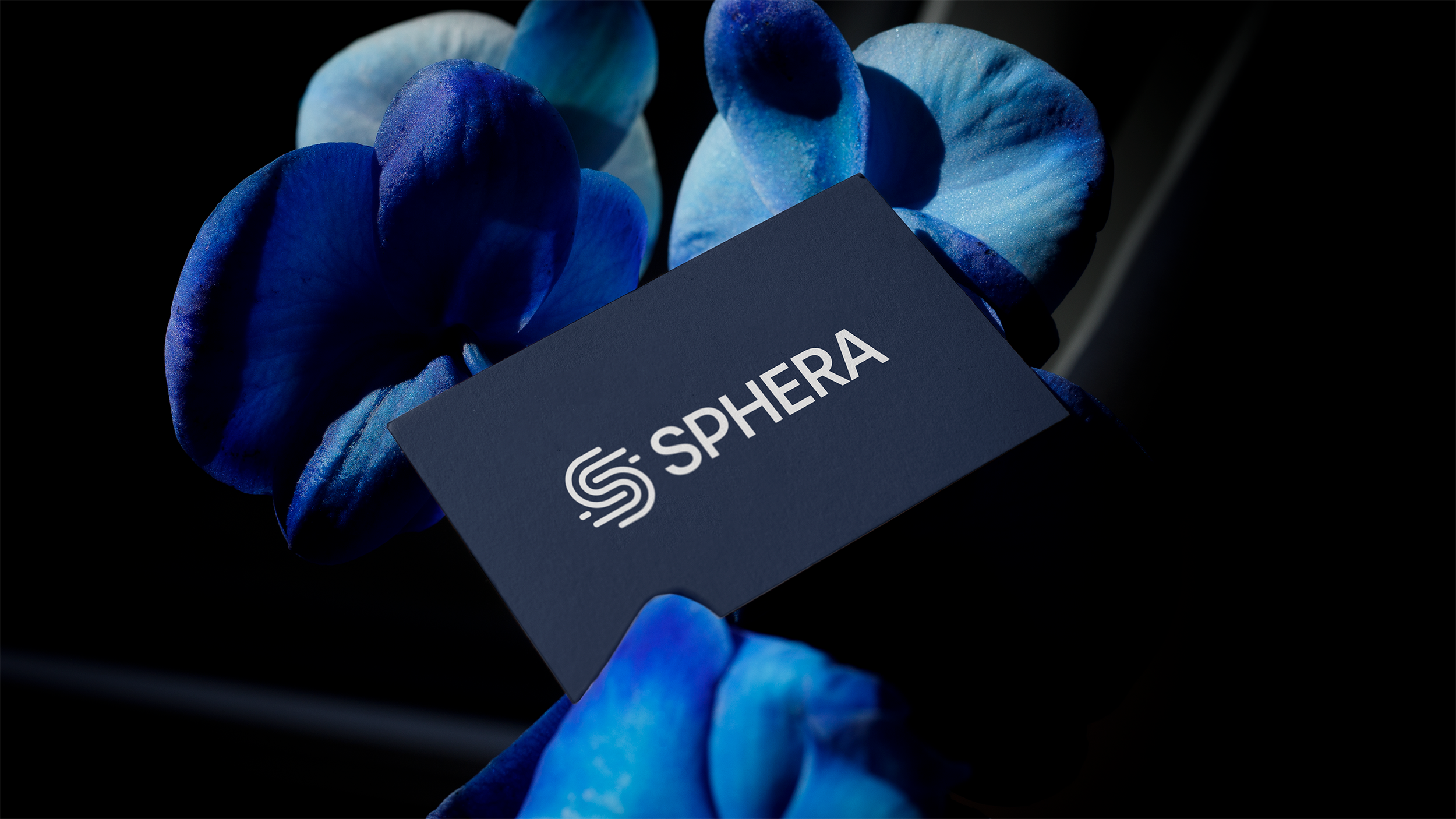 Sphera_BUSINESSCARD_01.png