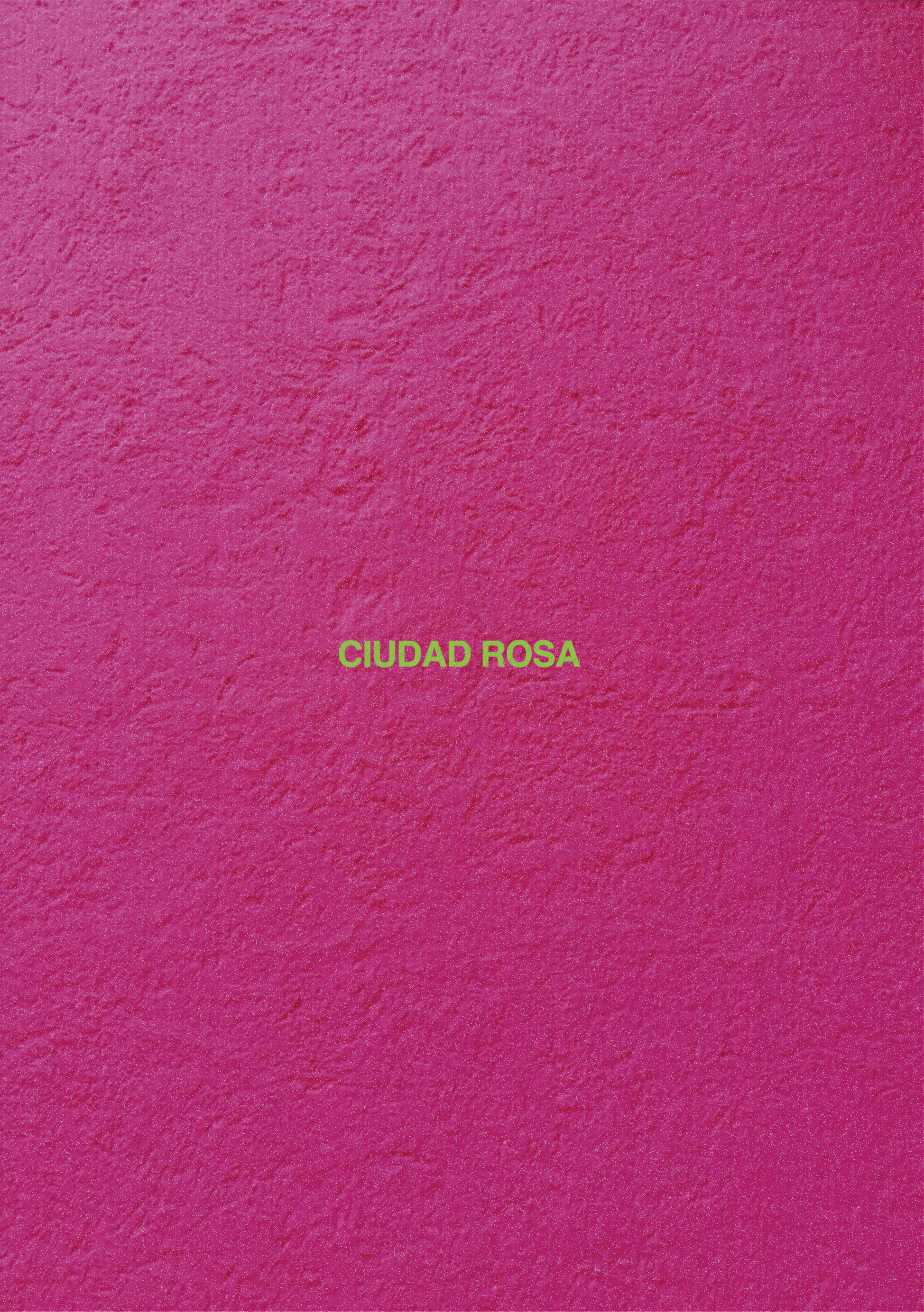 Ciudad Rosa - Zine