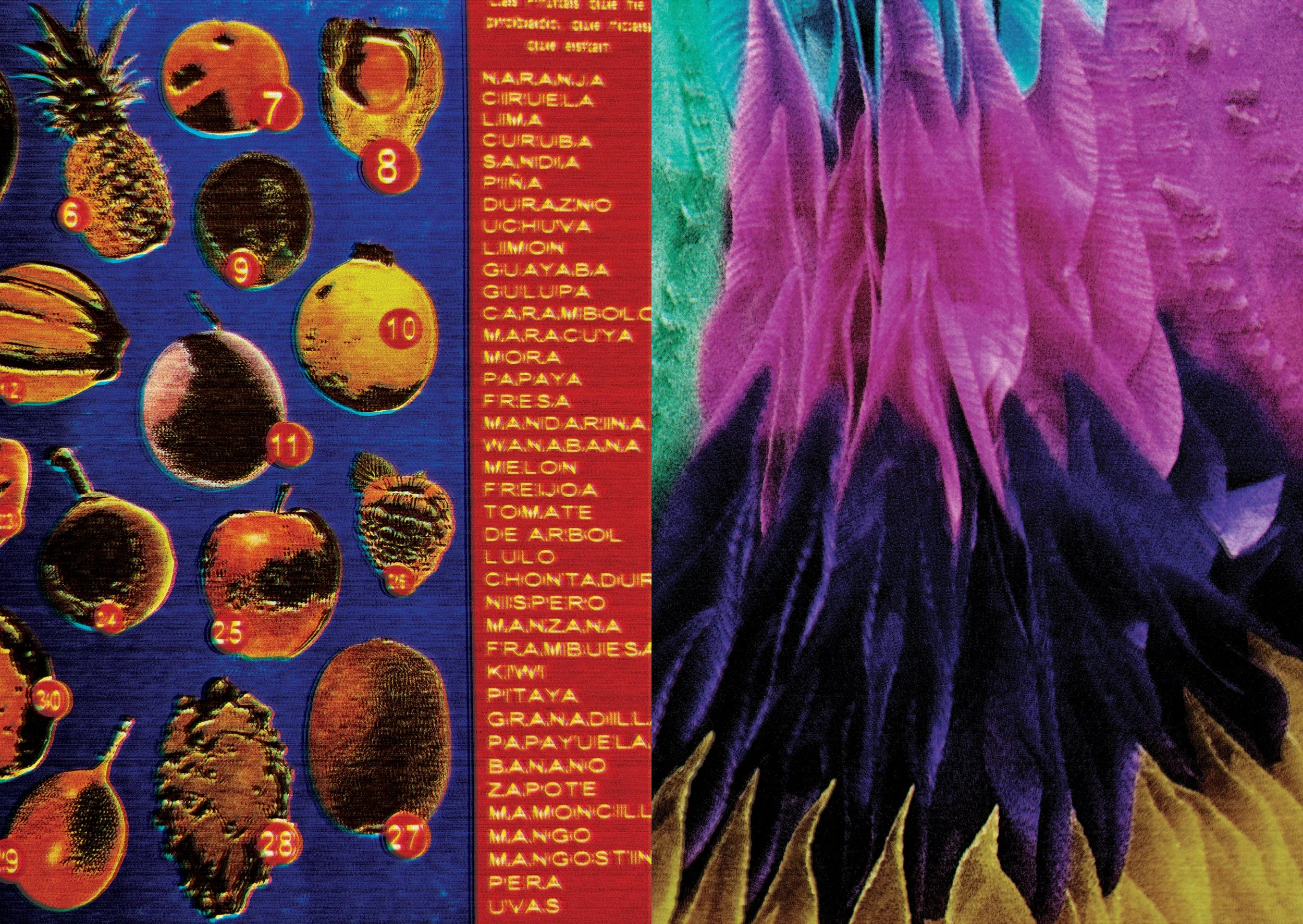 24-25.jpg