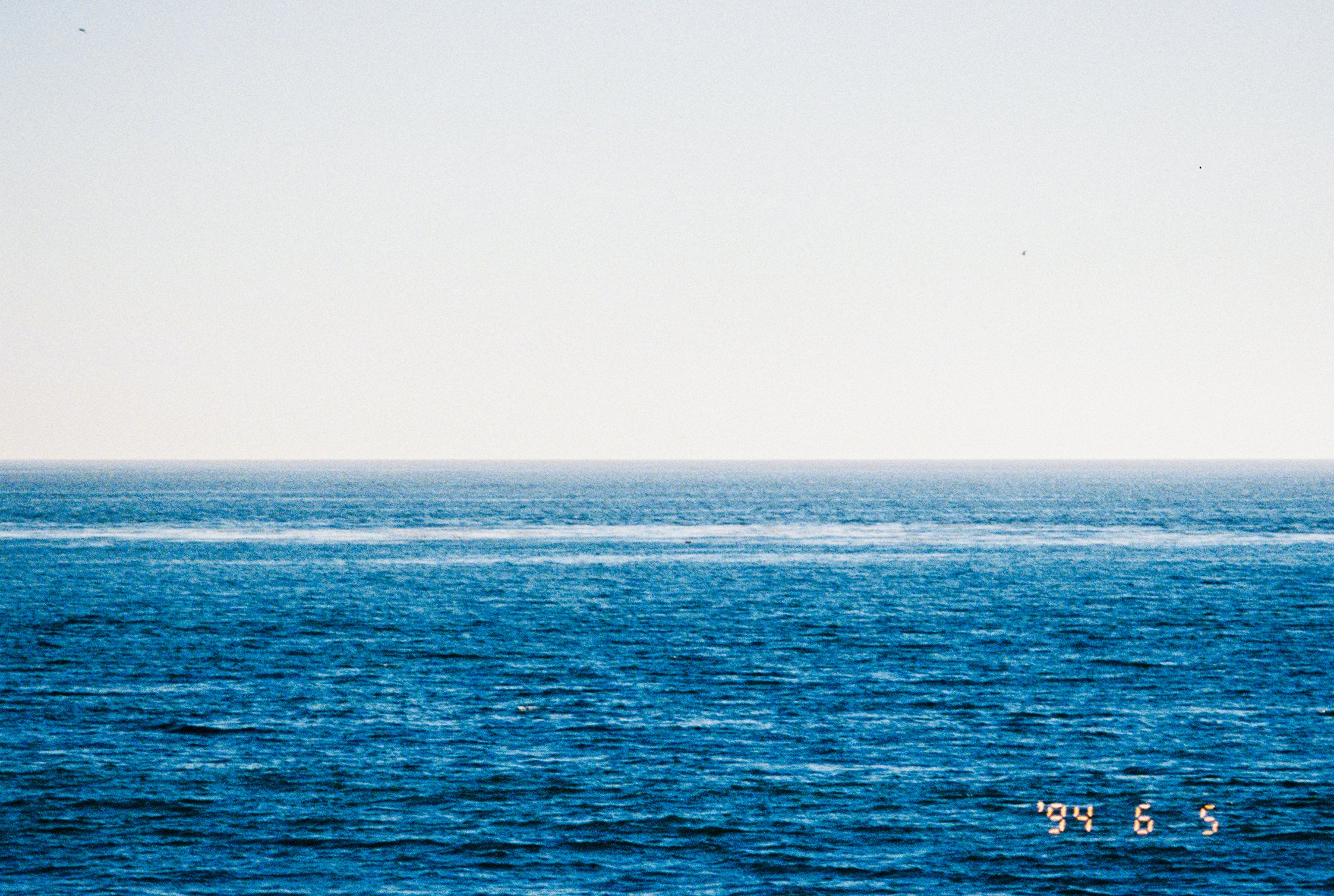 mate677-013.jpg