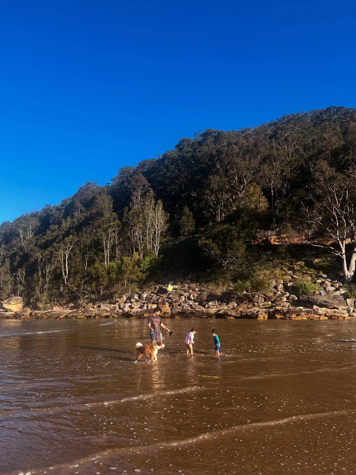 What a beautiful last day of winter.