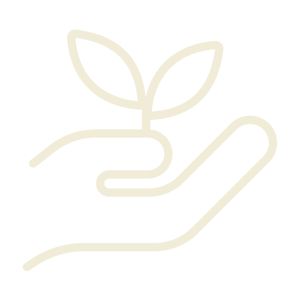 Line drawing of a hand holding a small plant with two leaves
