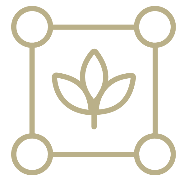 Minimalist icon of a plant with three leaves inside a square with rounded corners and small circles at each corner.