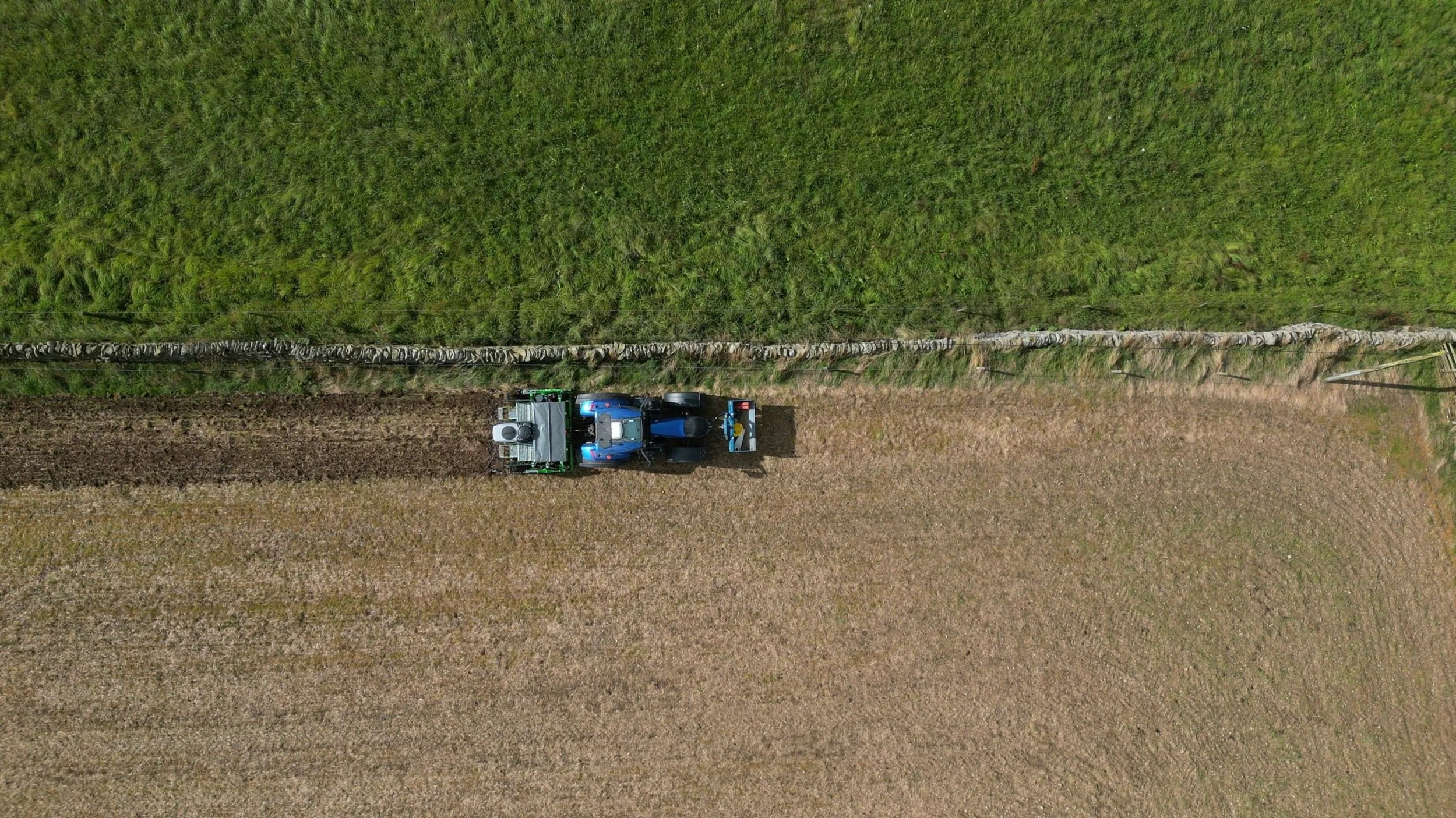 a tractor direct drilling on a regenerative farm