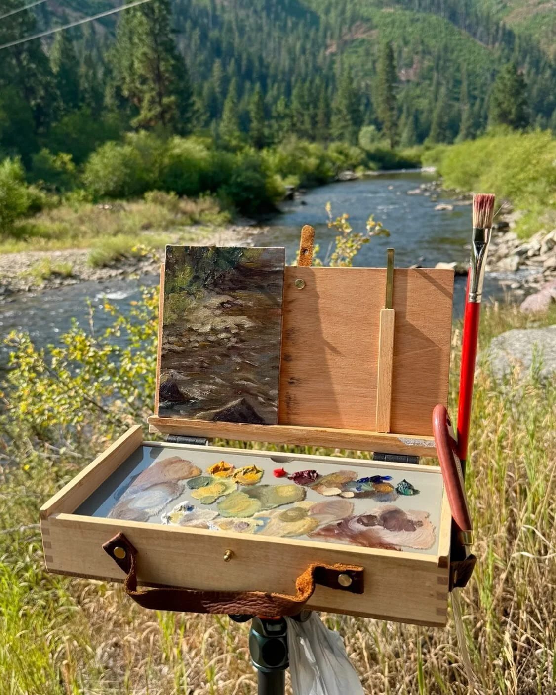 A little plein air study of a creek in Sula, MT I did a couple weeks back 🙌🏻

Fall&rsquo;s starting to move in up there so it was definitely hard to leave but I&rsquo;m determined to see some trees turning color this season so be prepared for some 