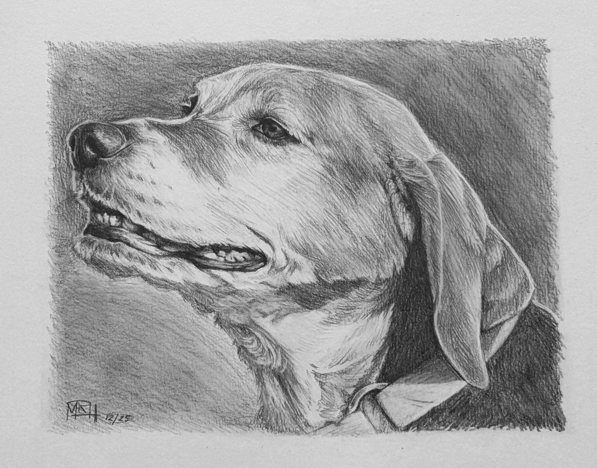 "Boone" in Graphite | Commission