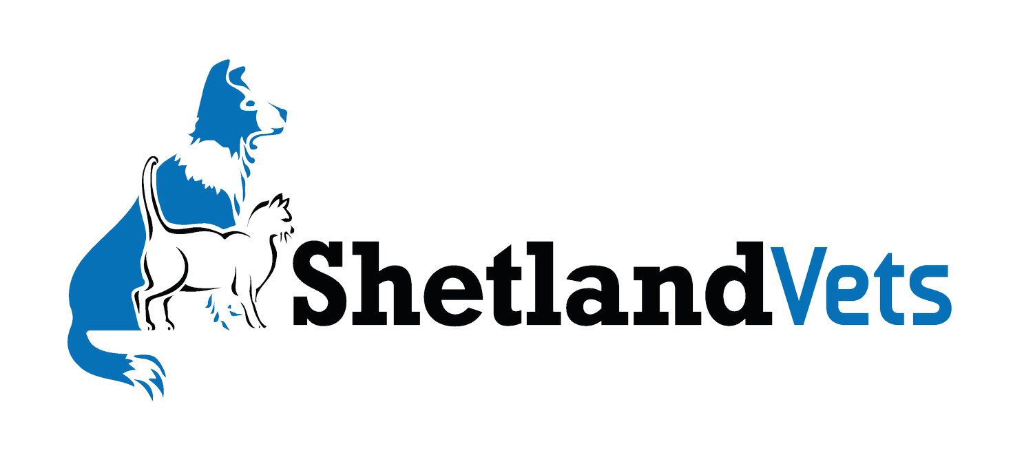 Shetland Vets