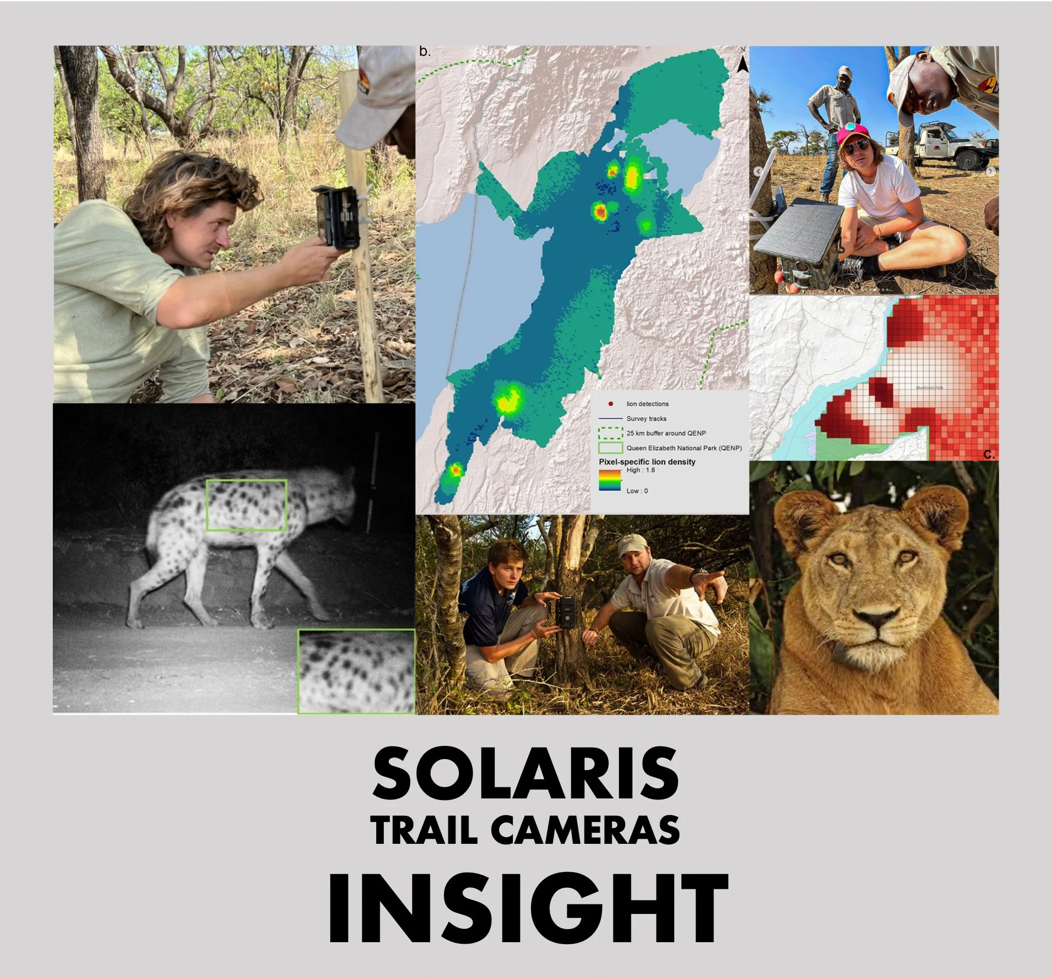 SOLARIS INSIGHT