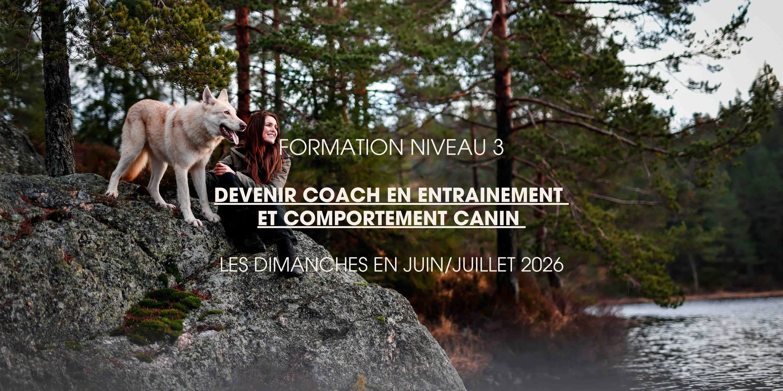 Formation “Devenir coach canin” Niveau 3 - Perfectionnement et examen