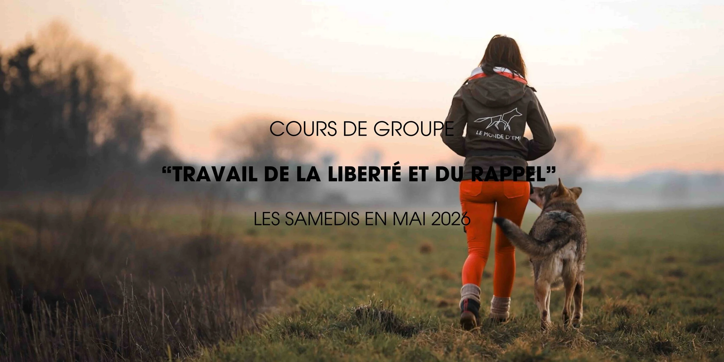 Formation intensive &amp; cours de groupe “Travail de la liberté &amp; rappel” 