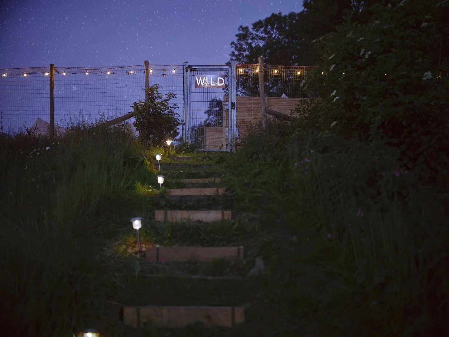 Escalier en plein air avec éclairage au sol, menant à une porte métallique avec un panneau lumineux indiquant 'WILD', entourée d'une clôture en fil de fer et de végétation, sous un ciel étoilé.