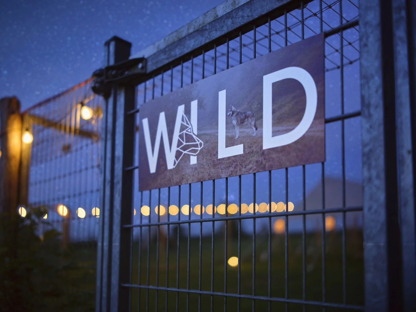 Vue d'une grille en métal avec un panneau indiquant 'WILD' et une image de chien de type loup ou husky, éclairée par des guirlandes lumineuses. Ciel étoilé en arrière-plan.
