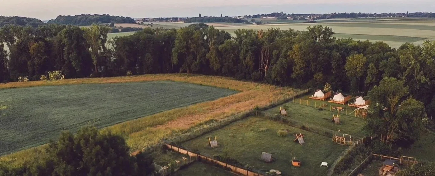 Champ en plein air avec des tentes blanches, une clôture en bois, un terrain de jeu pour chiens et des arbres environnants, dans un paysage rural avec des champs et une forêt au loin.
