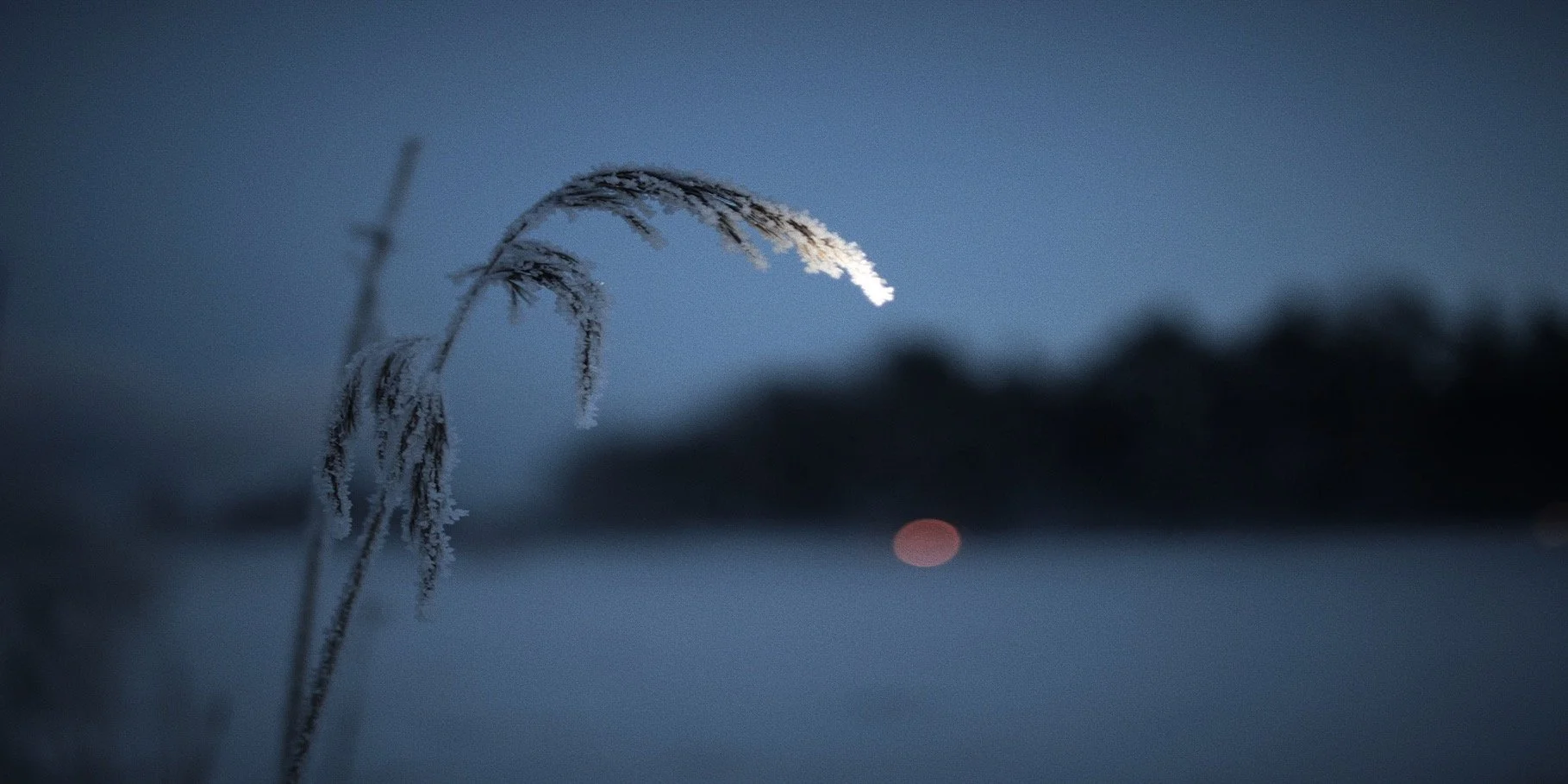 7935549A-3D2A-47C7-BE03-B7B9C9EDA5AE 3.JPG