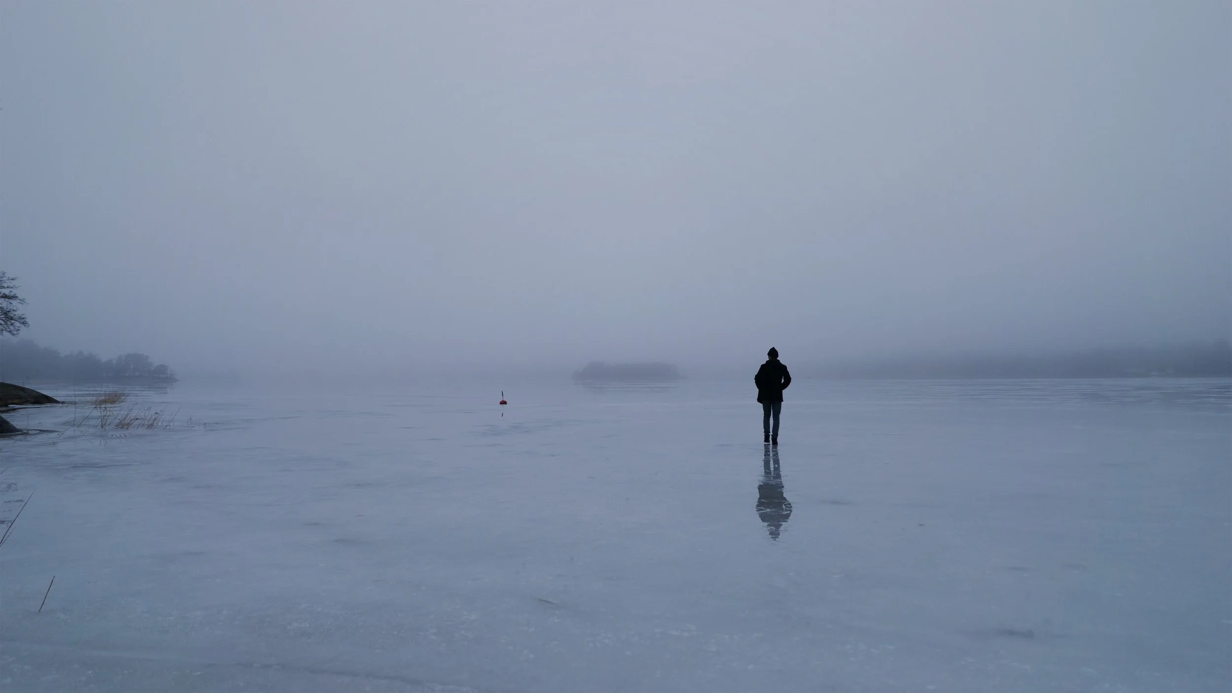 99460EA4-F638-4A93-942A-6DA46C5FBA91-1D47FE9A-AD75-4947-B325-5D66FA31A7DE 2.JPG