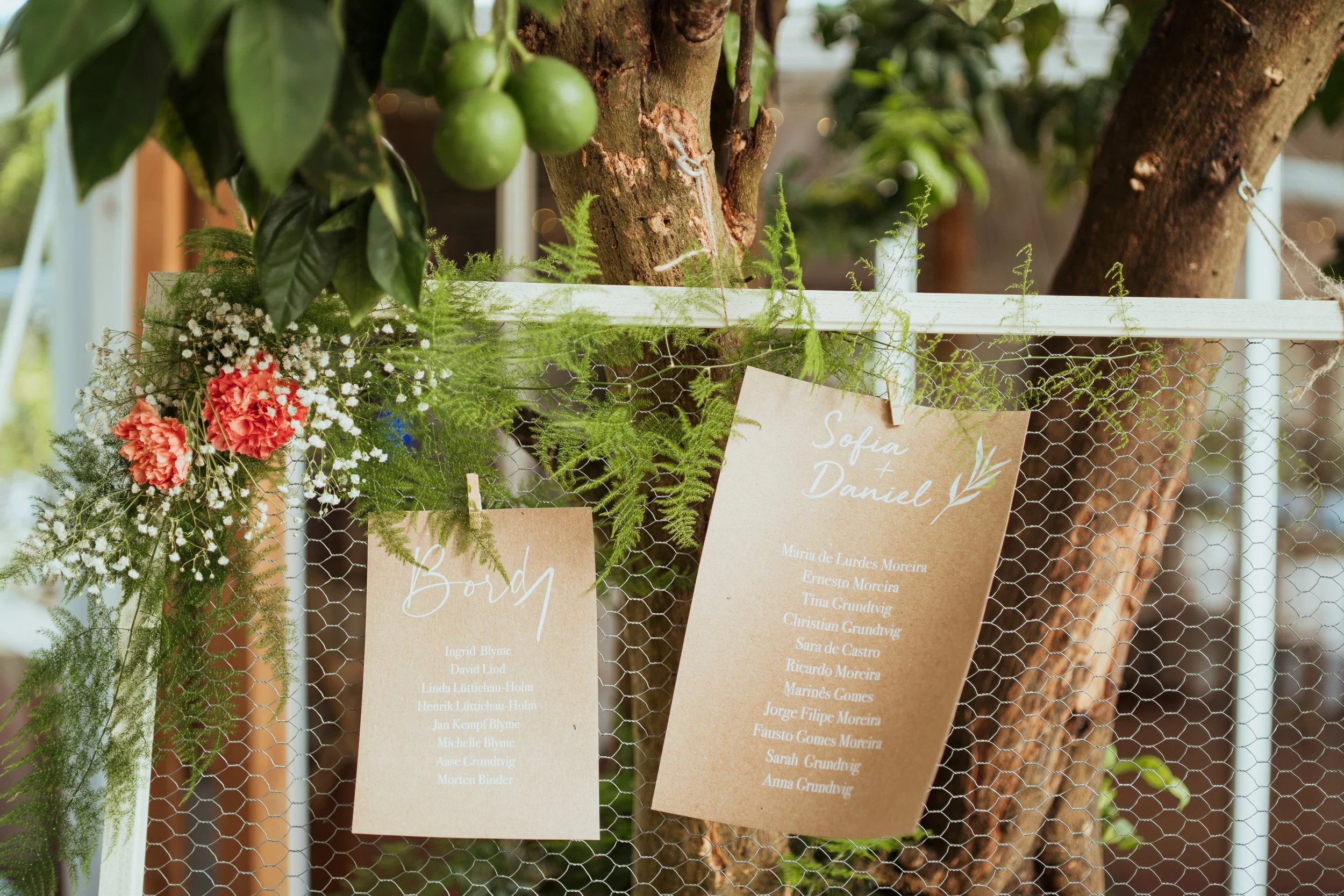 SOFIA E DANIEL-942.jpg