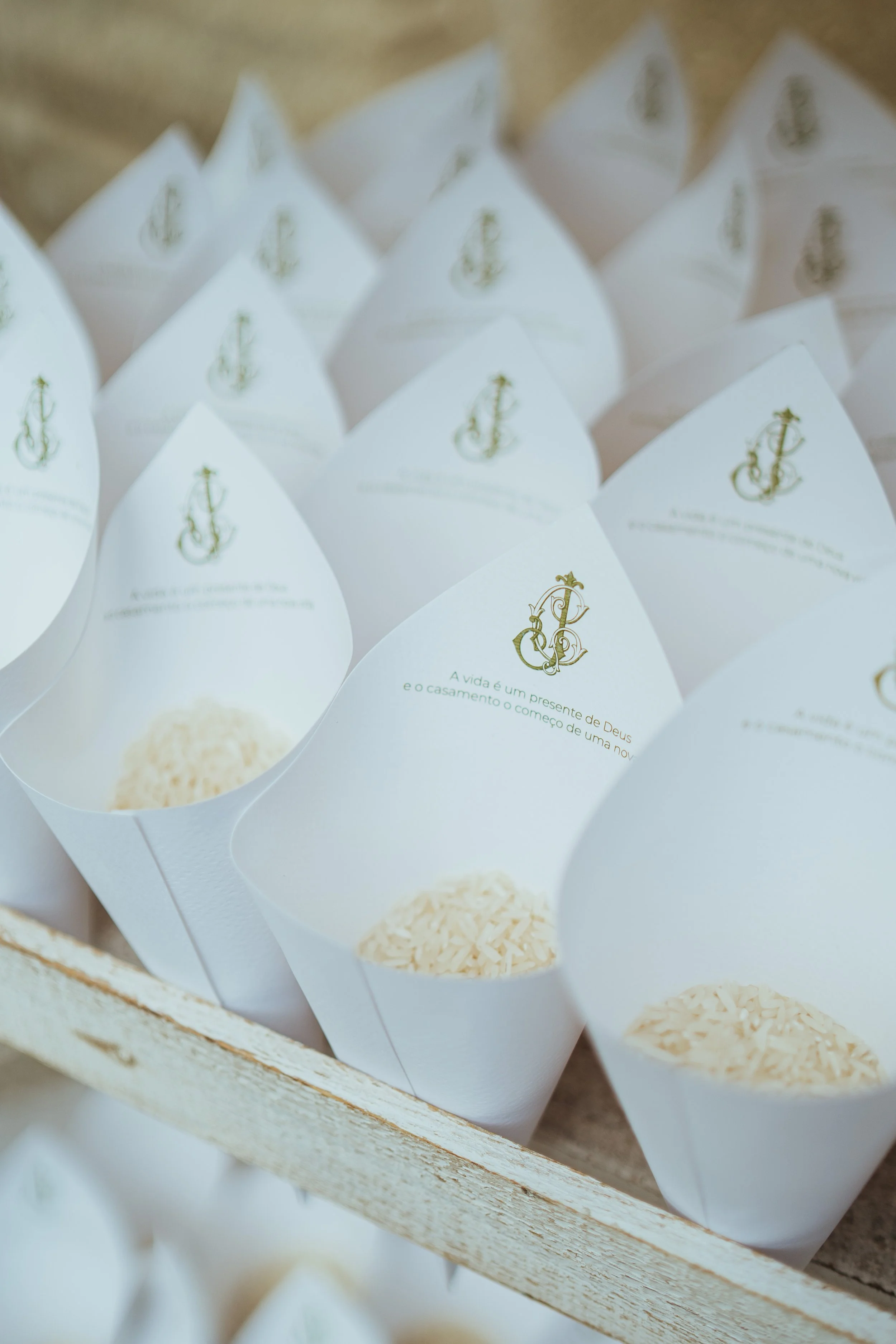 CARMEN E JOAO-153.jpg