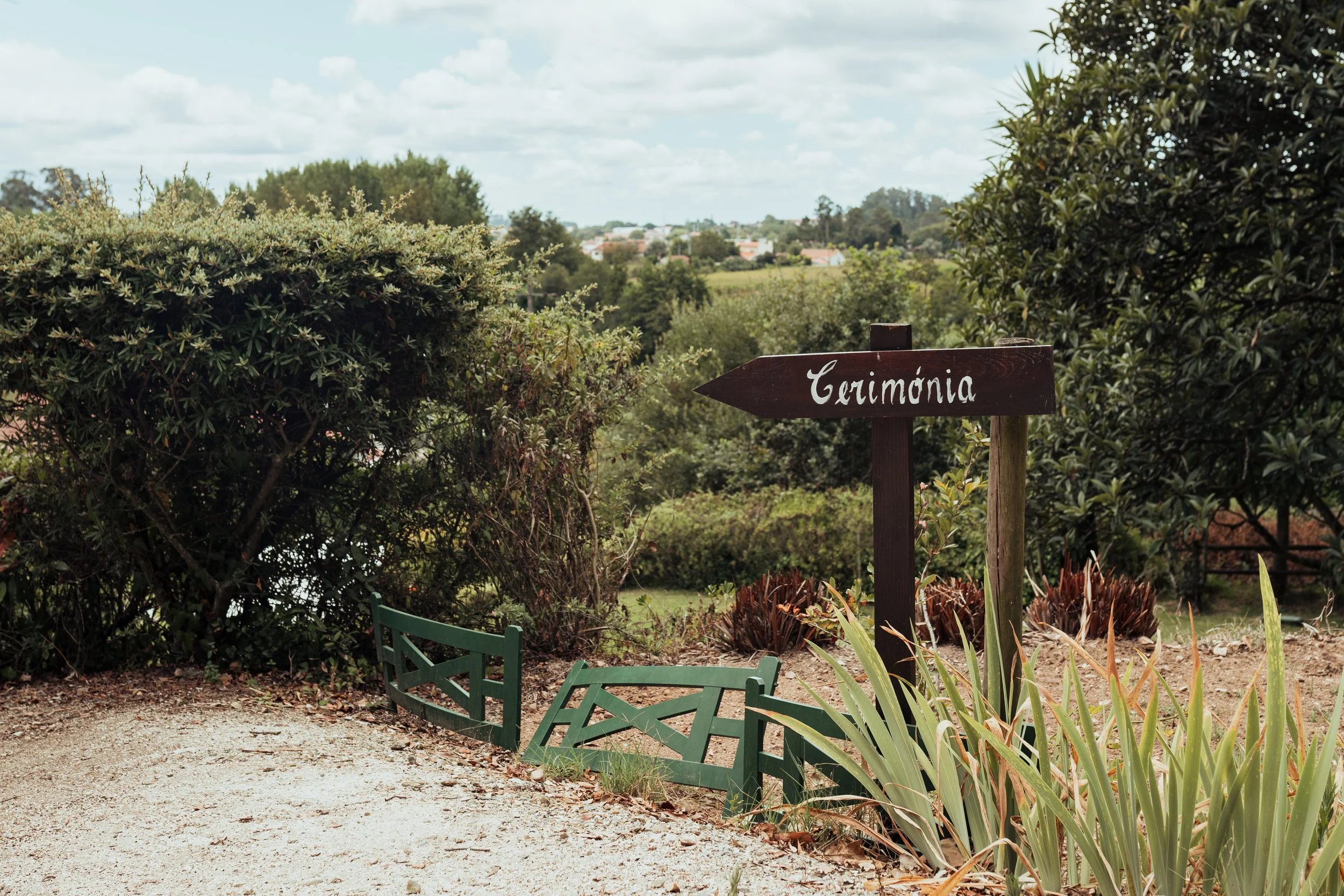 SOFIA E DANIEL-236.jpg