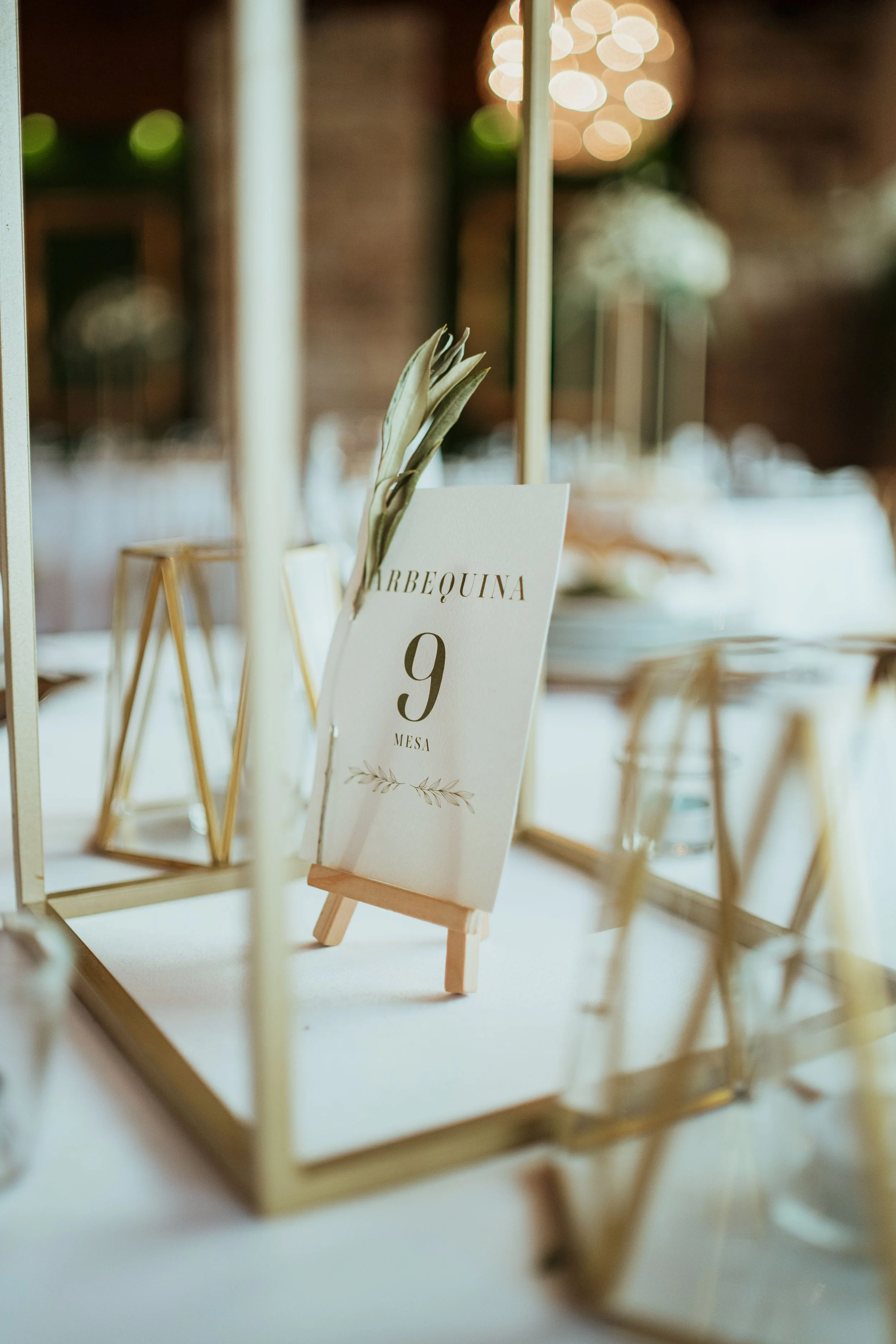 CARMEN E JOAO-707.jpg