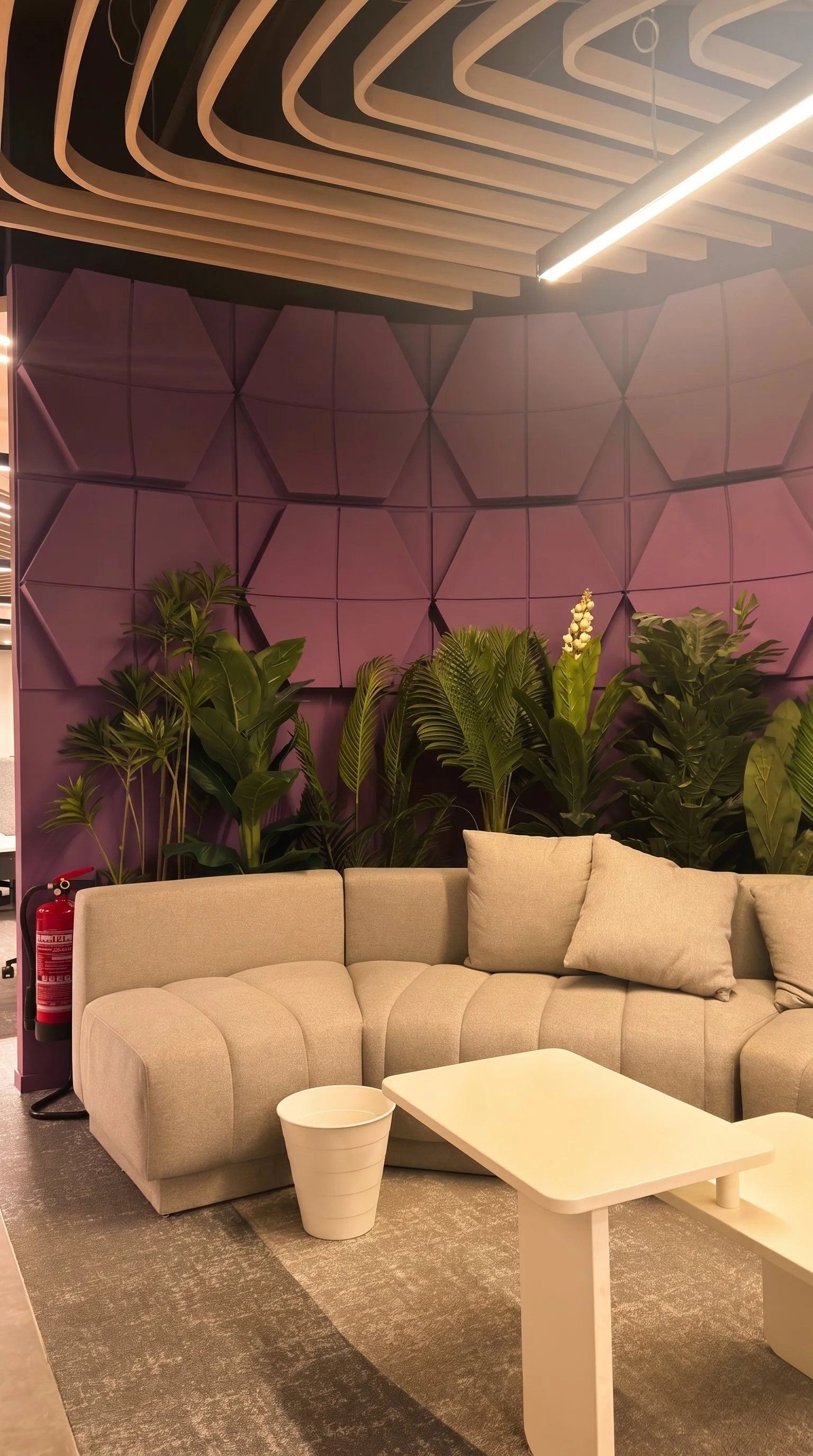 sofa 566.jpeg