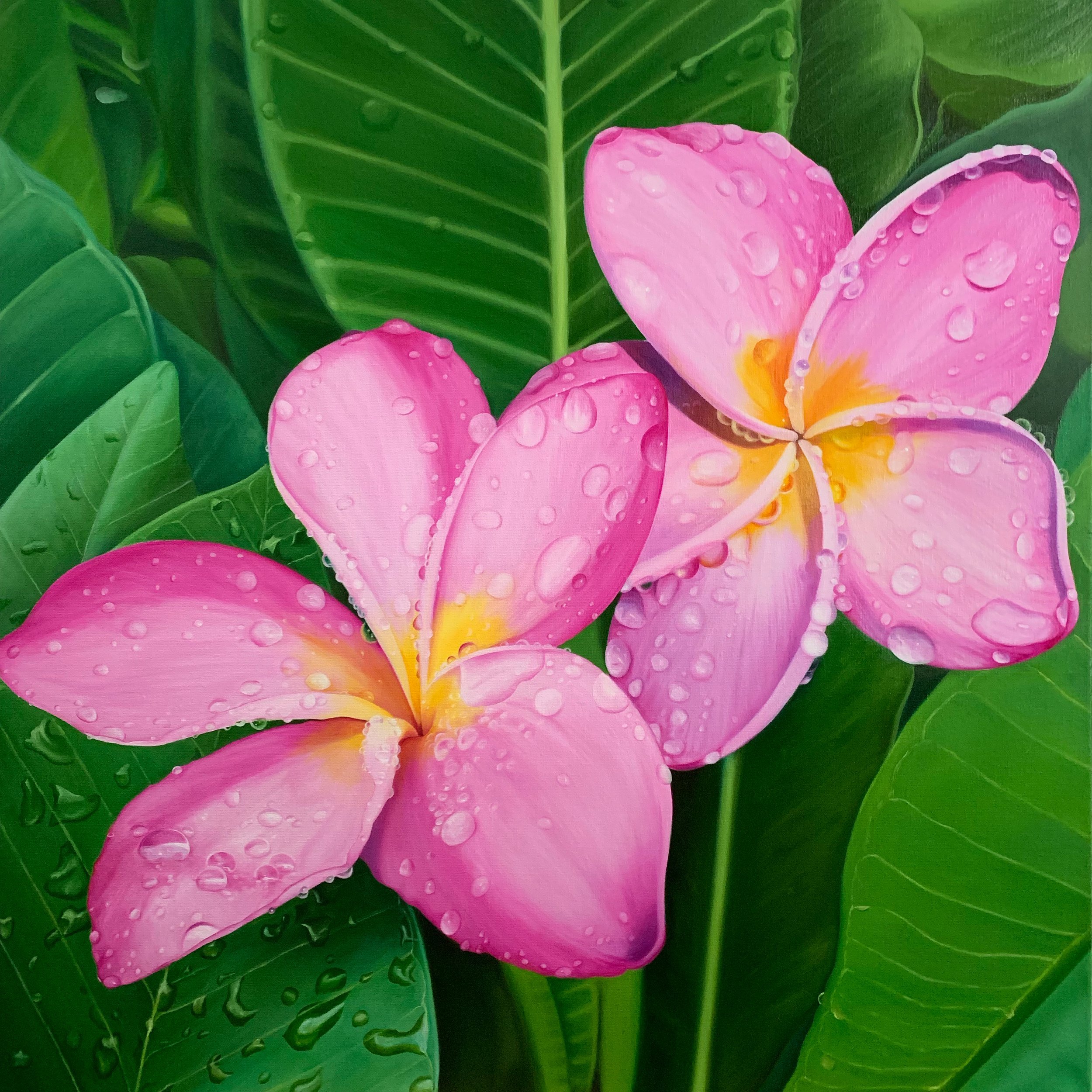 Plumeria
36in*36in
Oil on linen 2019
SOLD