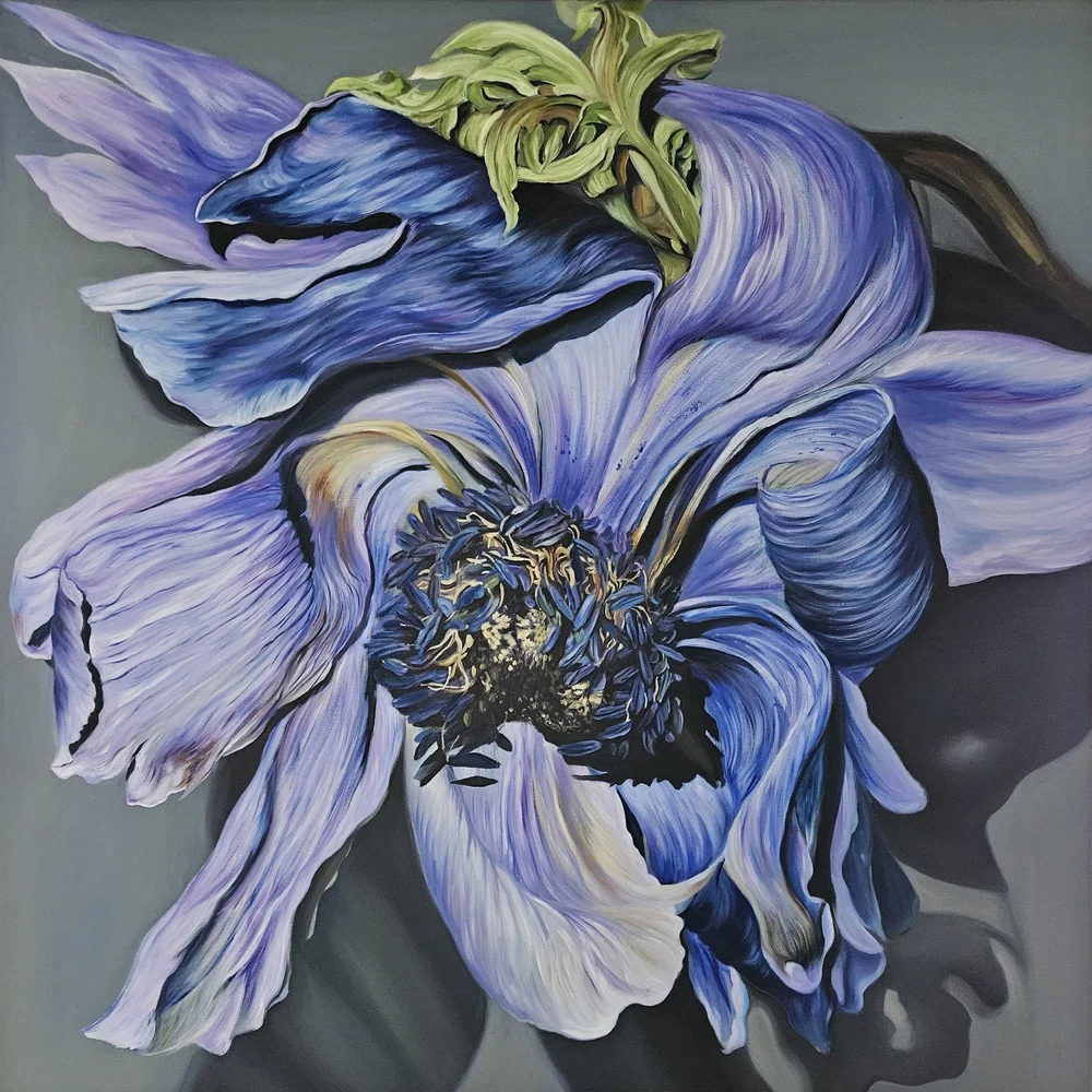 絵画 anemone モノクロ ボタニカルアート Anemone アネモネ 植物画 1793年