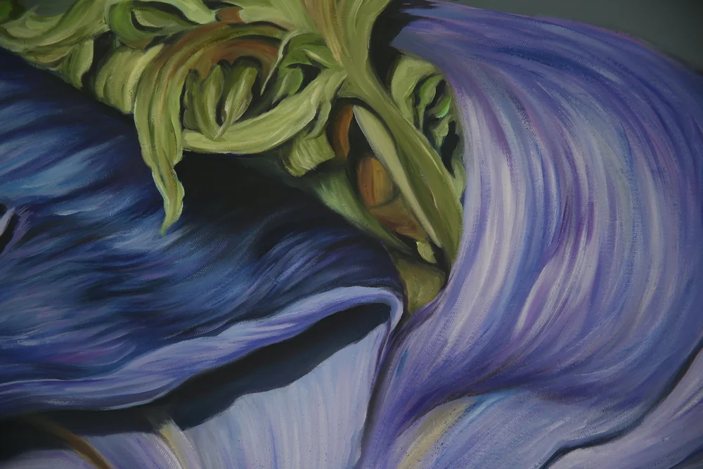 絵画 anemone Actiniae Sea Anemones Painting by Ernst Haeckel - Pixels Merch