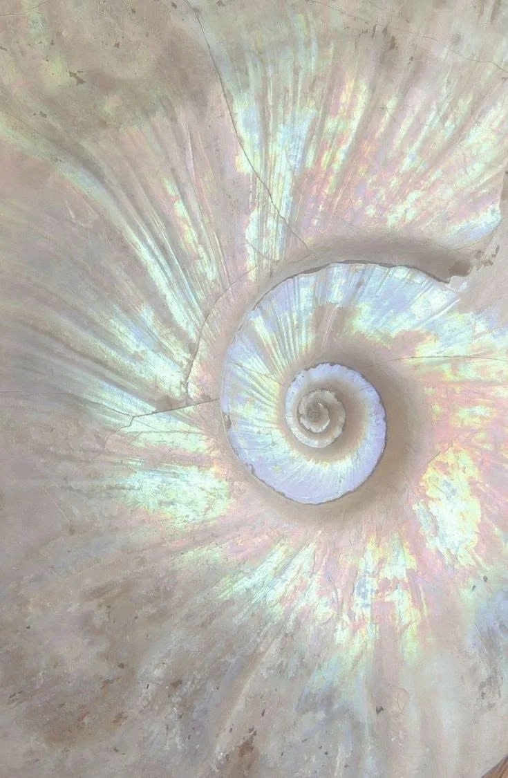 May 6 – Pluto Stations Retrograde in Aquarius