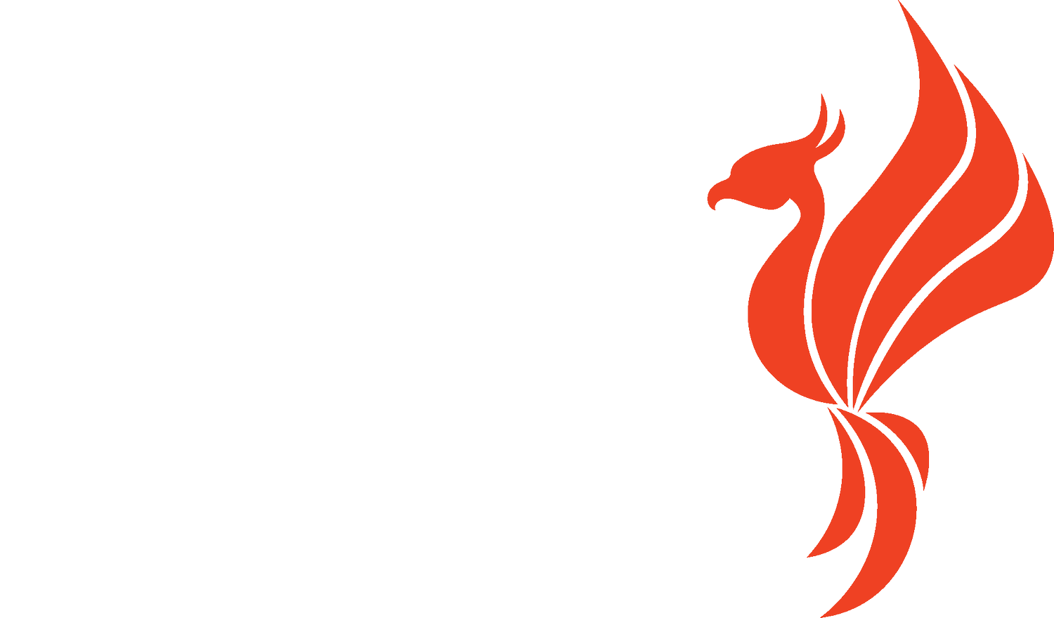 Phoenix Medical