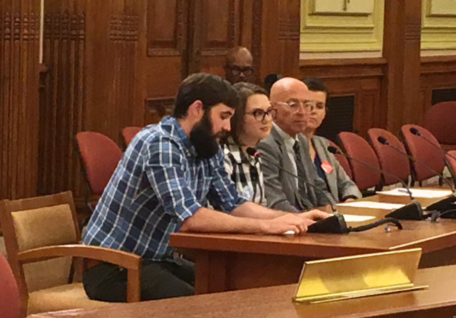 Testimony  Regarding the Fair Elections Act of 2017