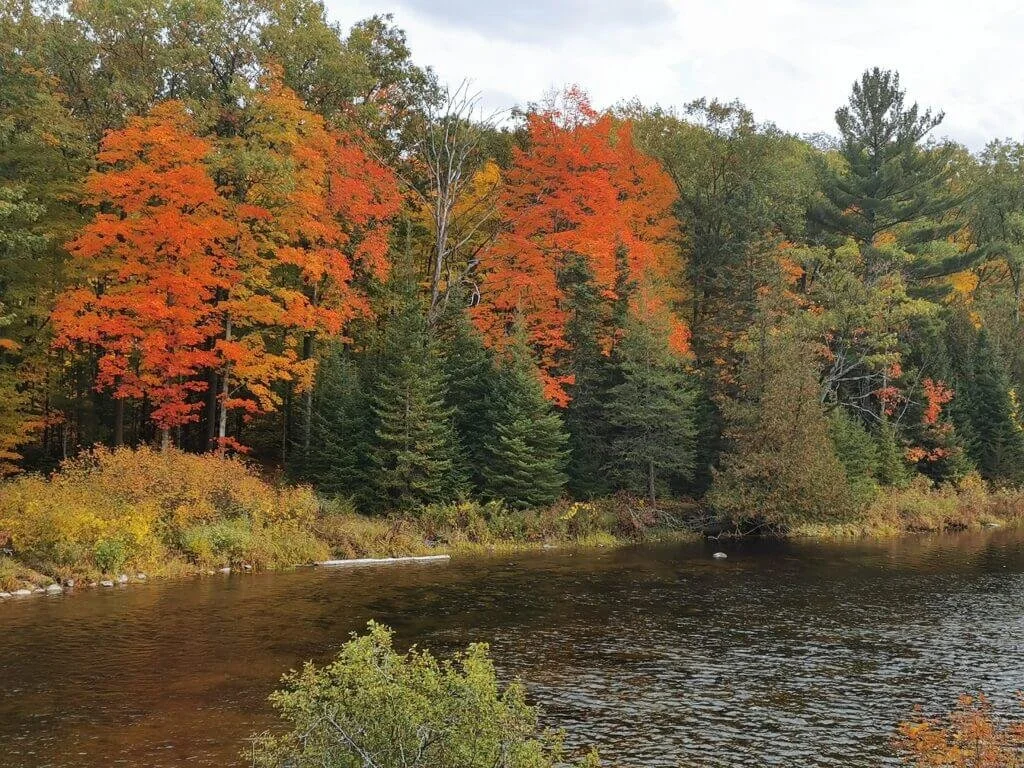 callaghan's rapids conservation 3.jpg