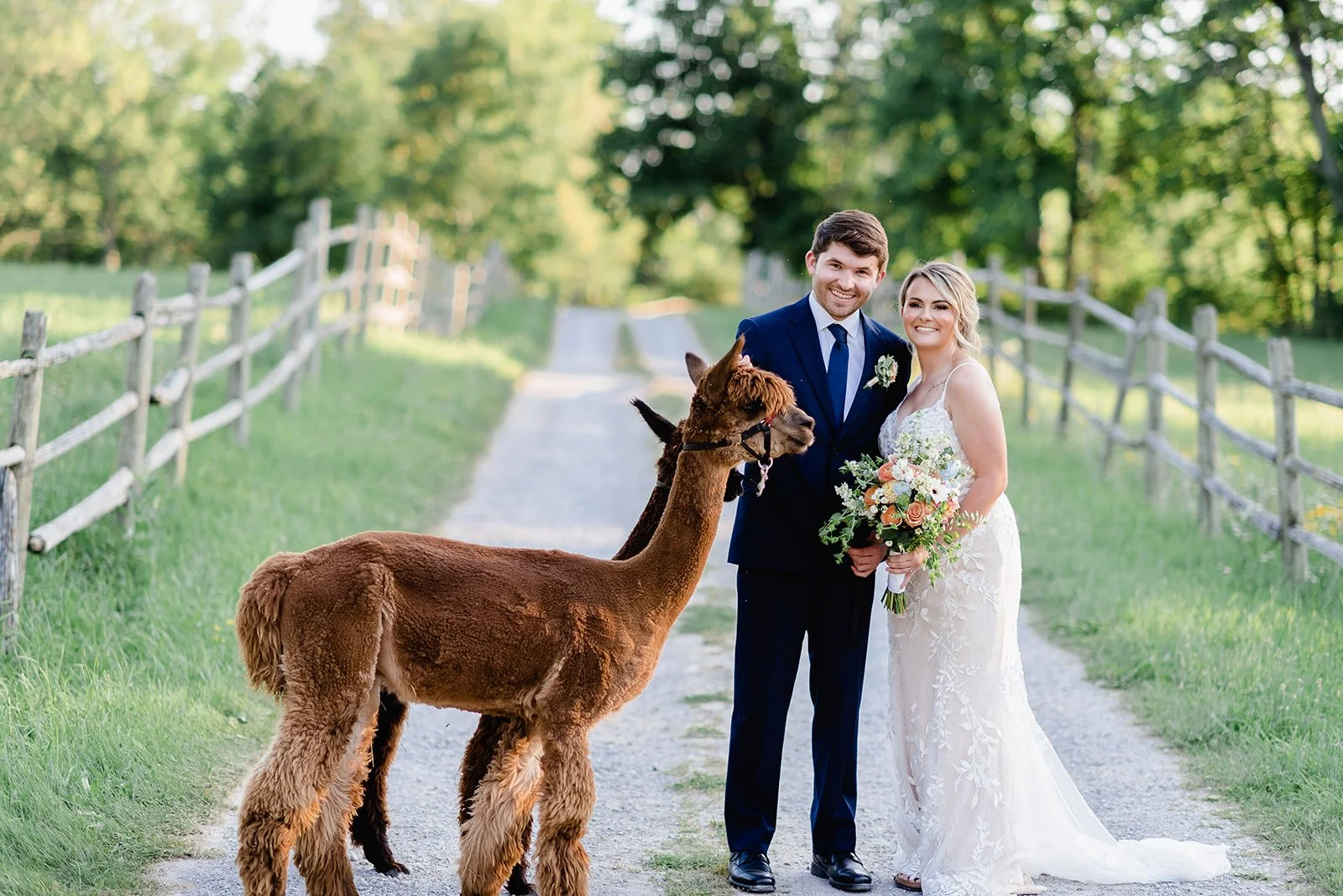 Alpaca Wedding_FINAL-189.jpg