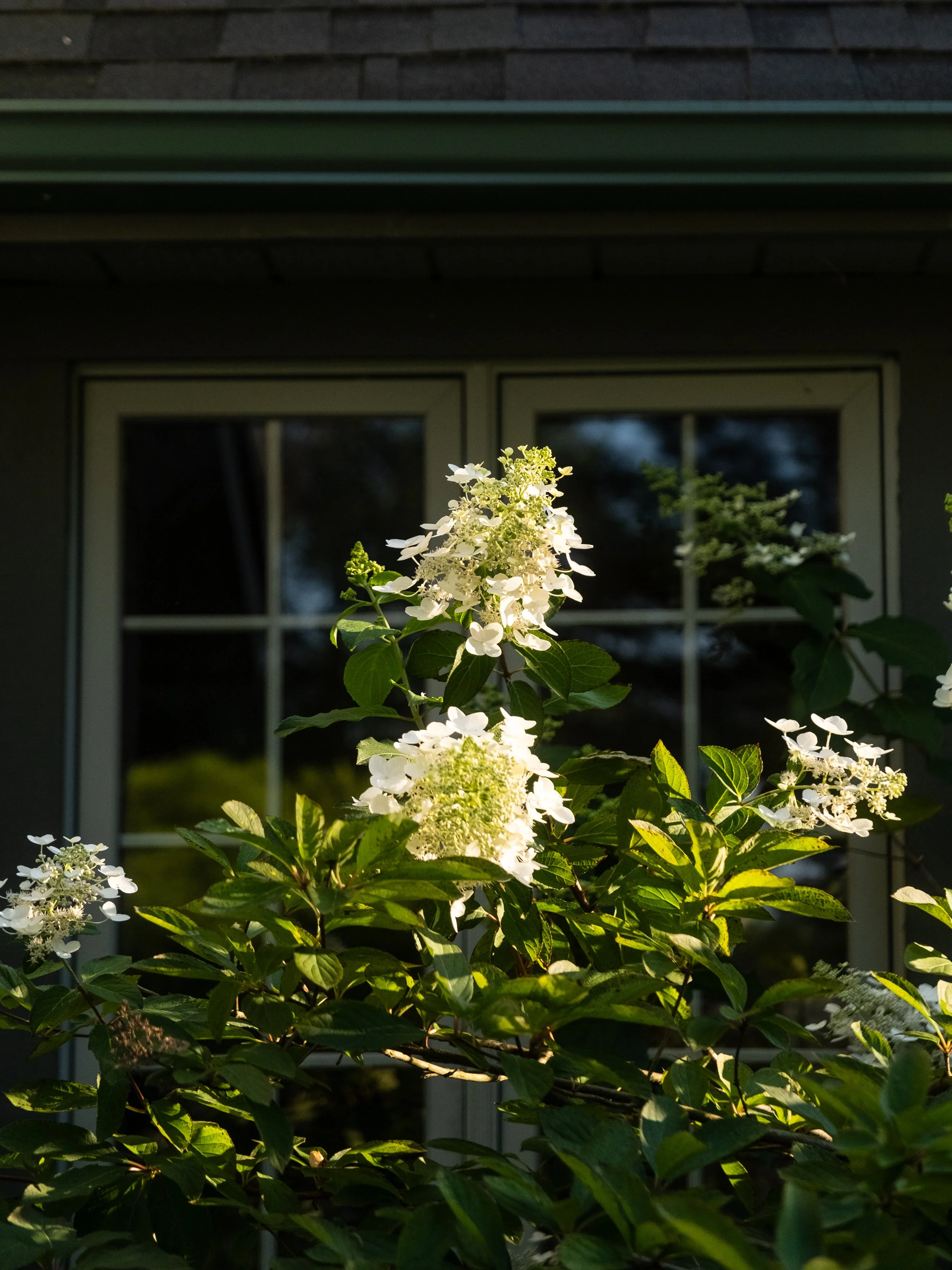 Marmora Farmhouse Summer 2025-221.jpg